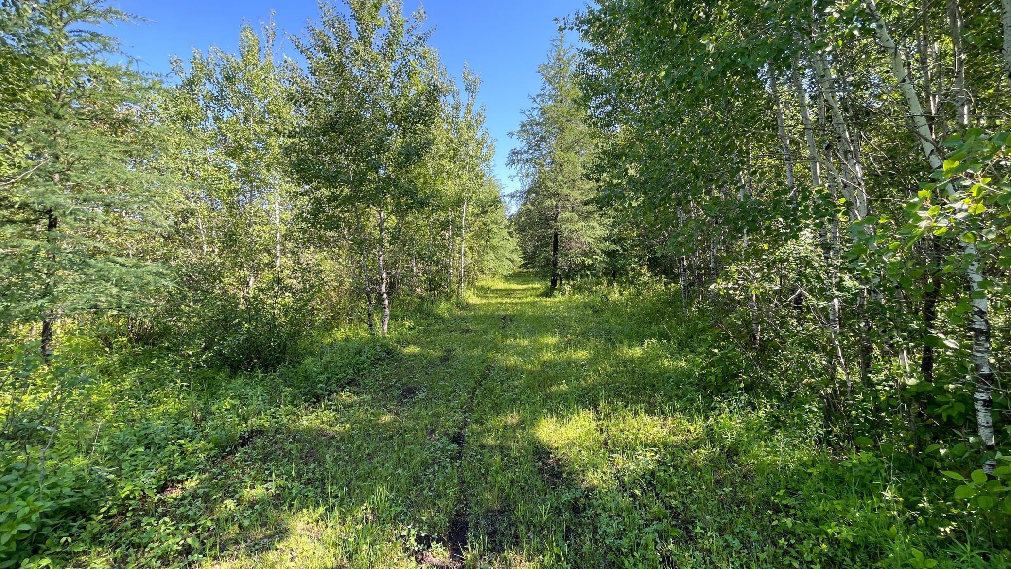land for sale at TBD 440th Avenue in Wannaska, MN (photo 53 of 80)