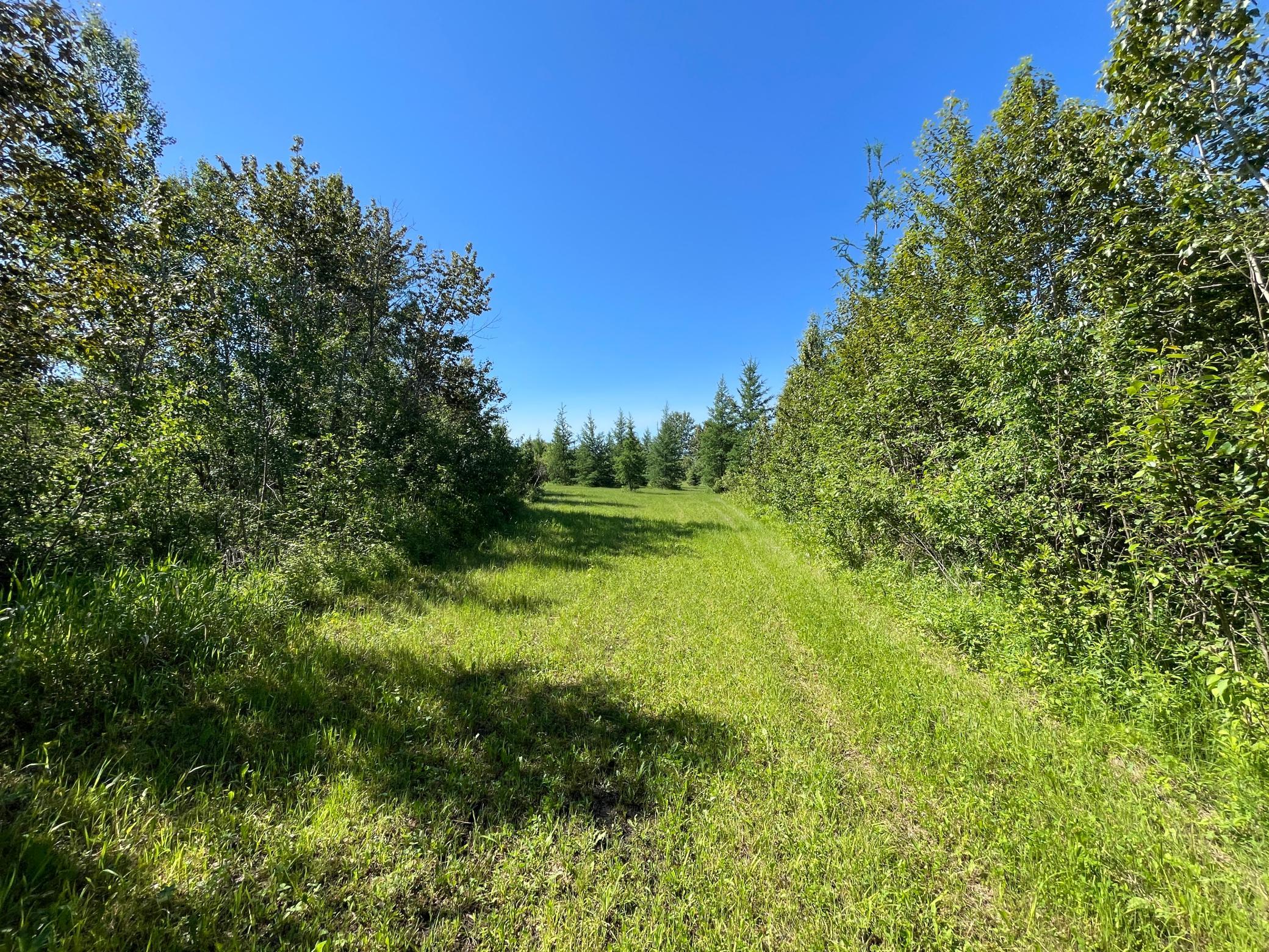 land for sale at TBD 440th Avenue in Wannaska, MN (photo 58 of 80)