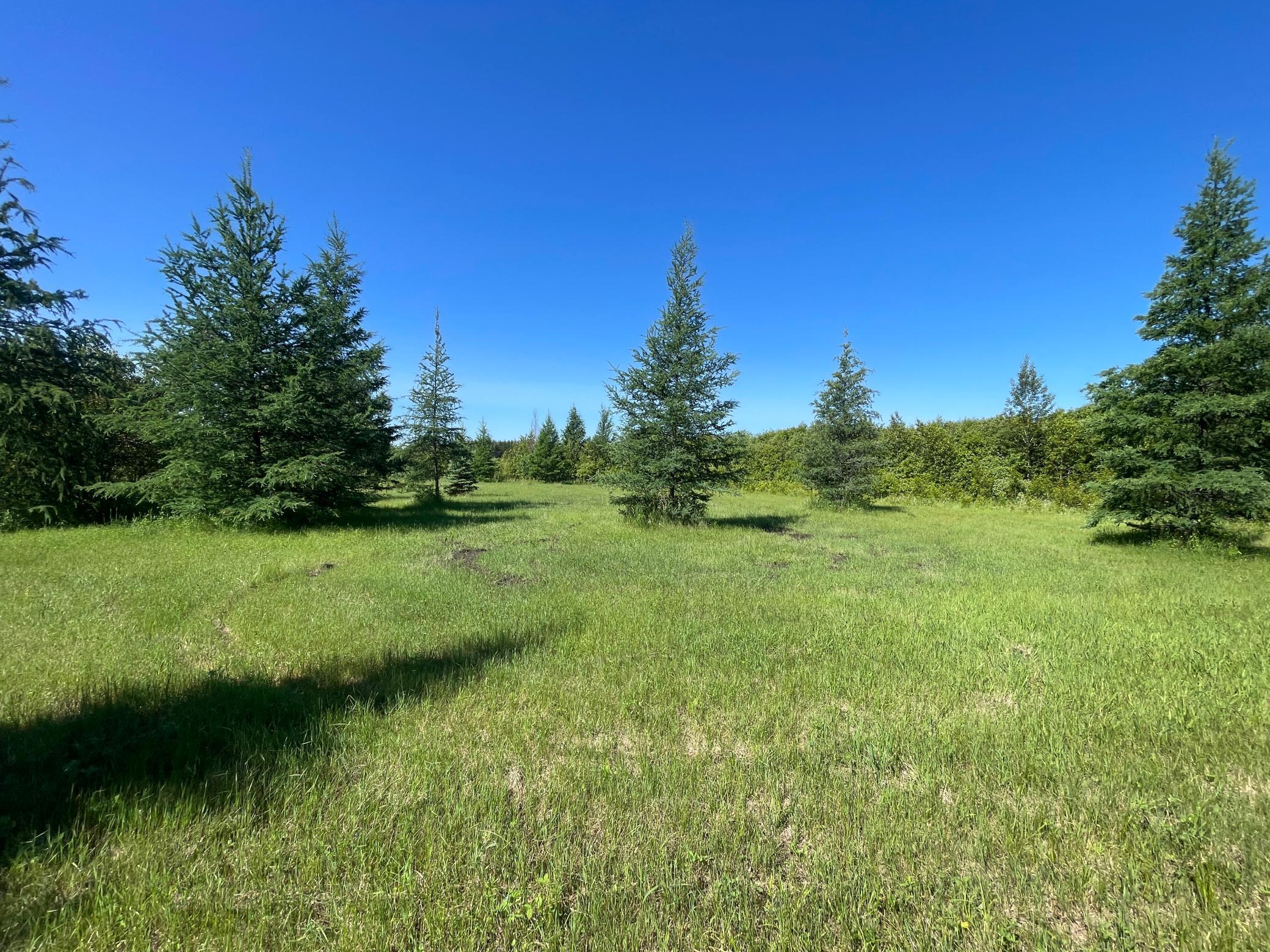 land for sale at TBD 440th Avenue in Wannaska, MN (photo 60 of 80)