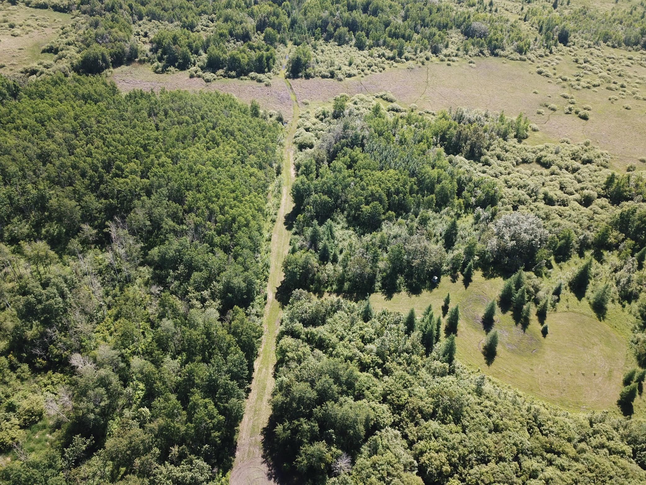land for sale at TBD 440th Avenue in Wannaska, MN (photo 7 of 80)