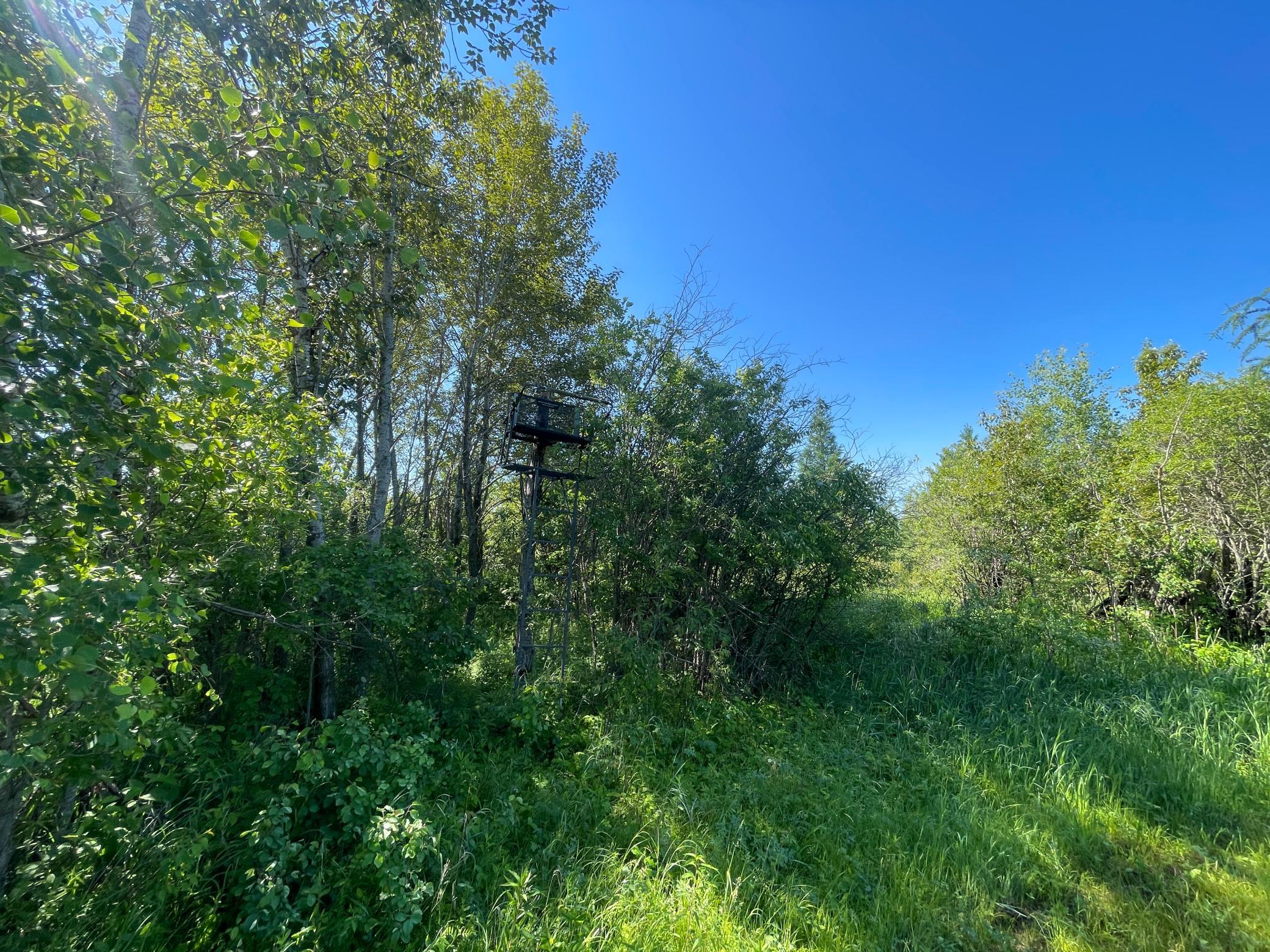 land for sale at TBD 440th Avenue in Wannaska, MN (photo 61 of 80)