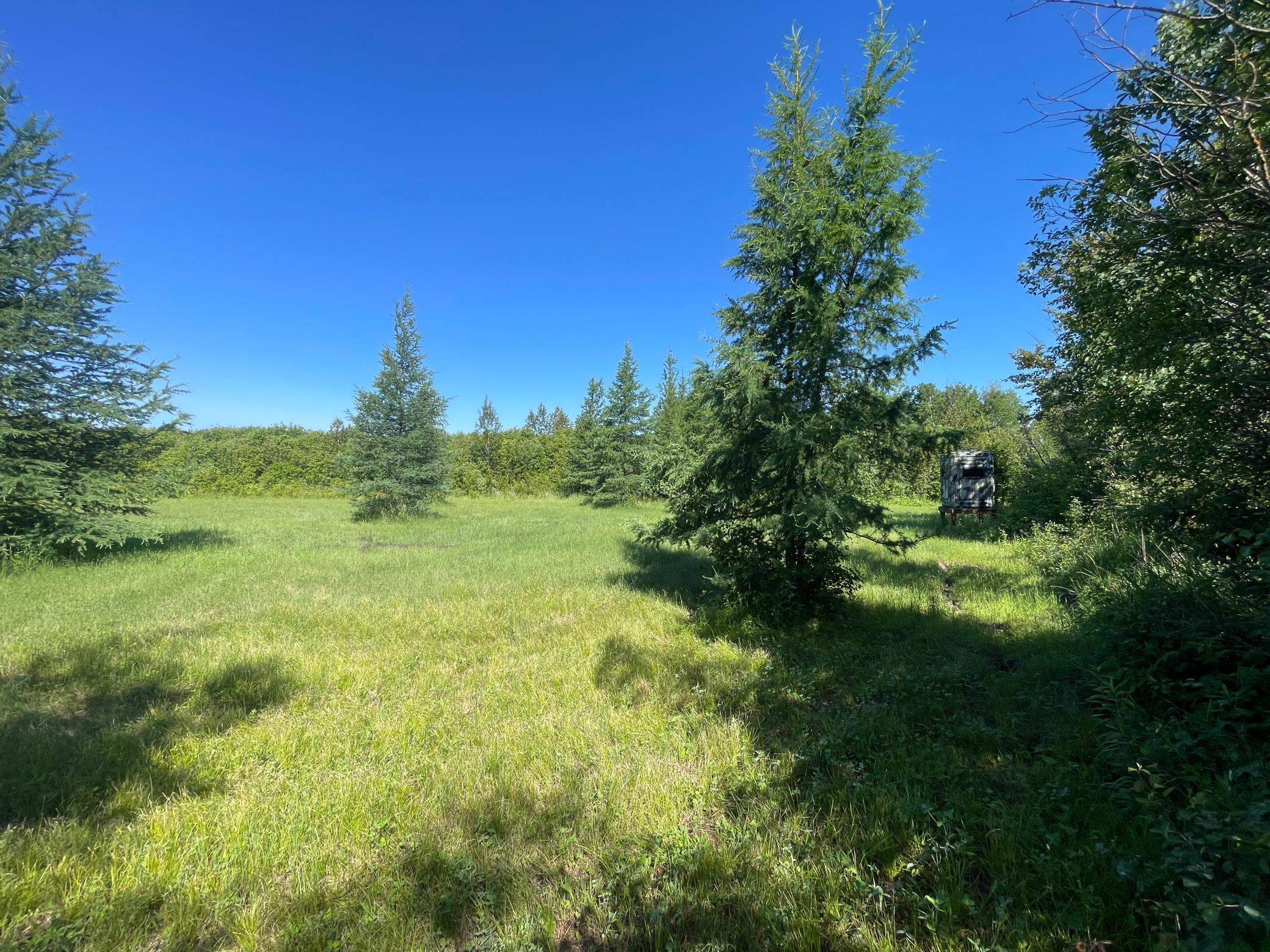land for sale at TBD 440th Avenue in Wannaska, MN (photo 62 of 80)