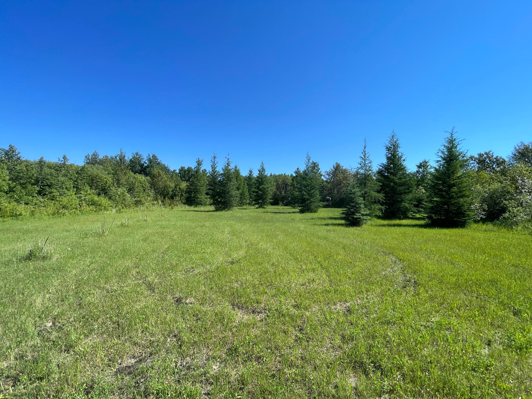 land for sale at TBD 440th Avenue in Wannaska, MN (photo 63 of 80)