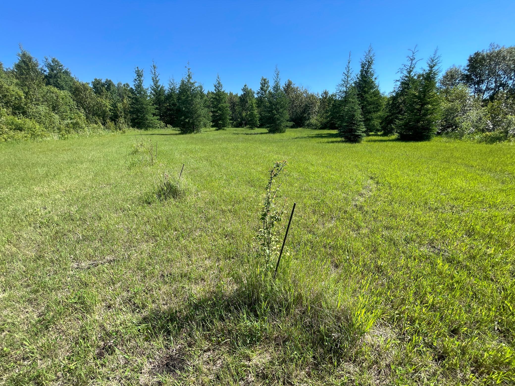 land for sale at TBD 440th Avenue in Wannaska, MN (photo 64 of 80)