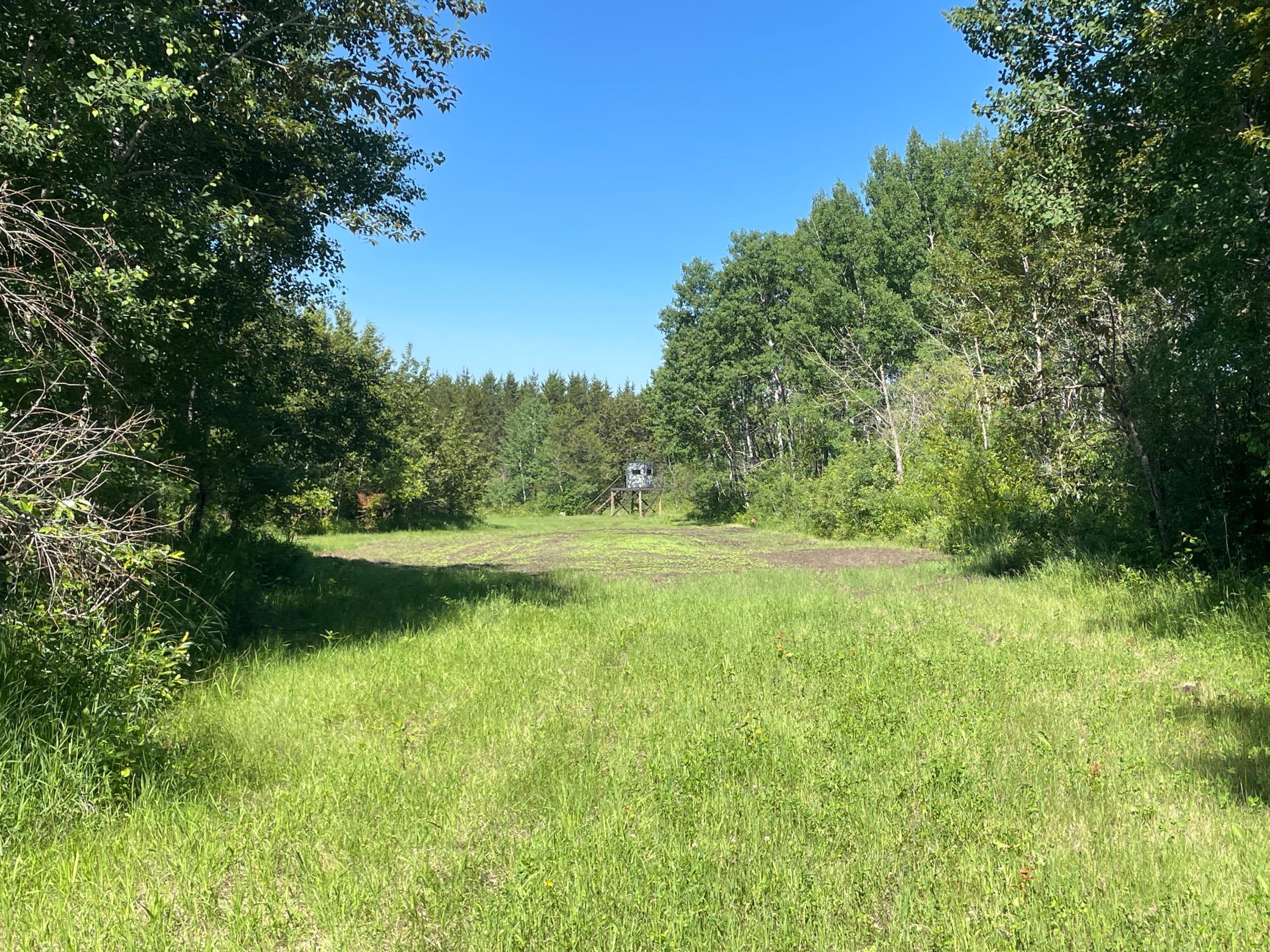 land for sale at TBD 440th Avenue in Wannaska, MN (photo 66 of 80)