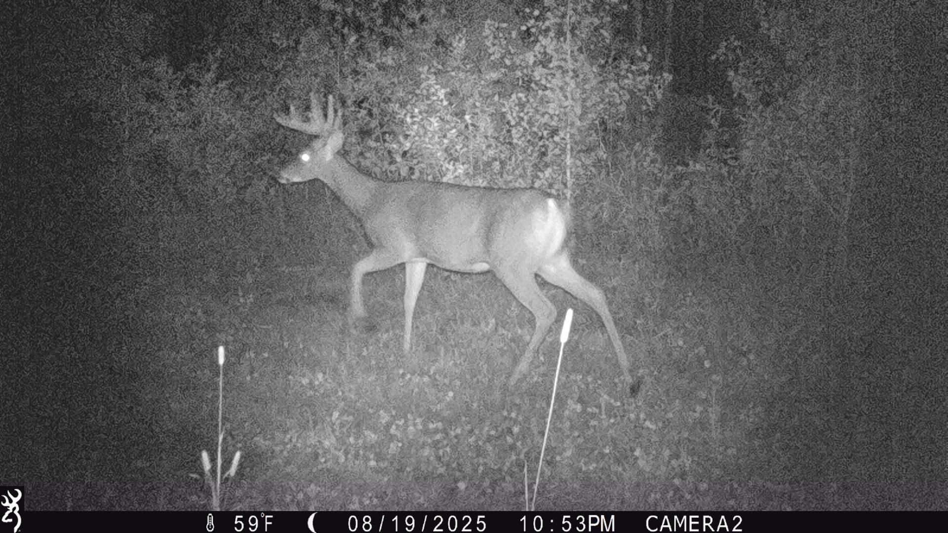 land for sale at TBD 440th Avenue in Wannaska, MN (photo 68 of 80)