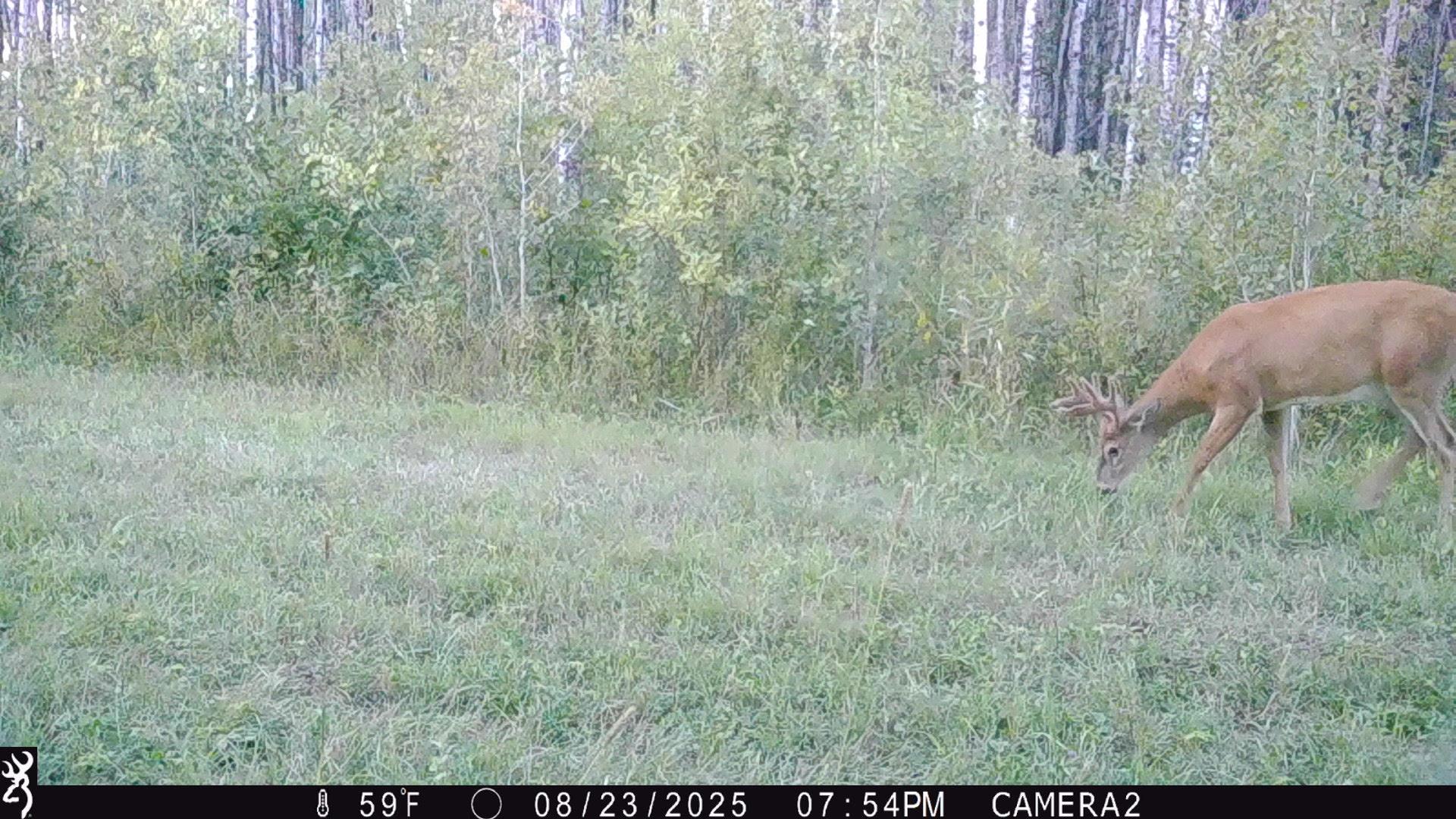 land for sale at TBD 440th Avenue in Wannaska, MN (photo 70 of 80)