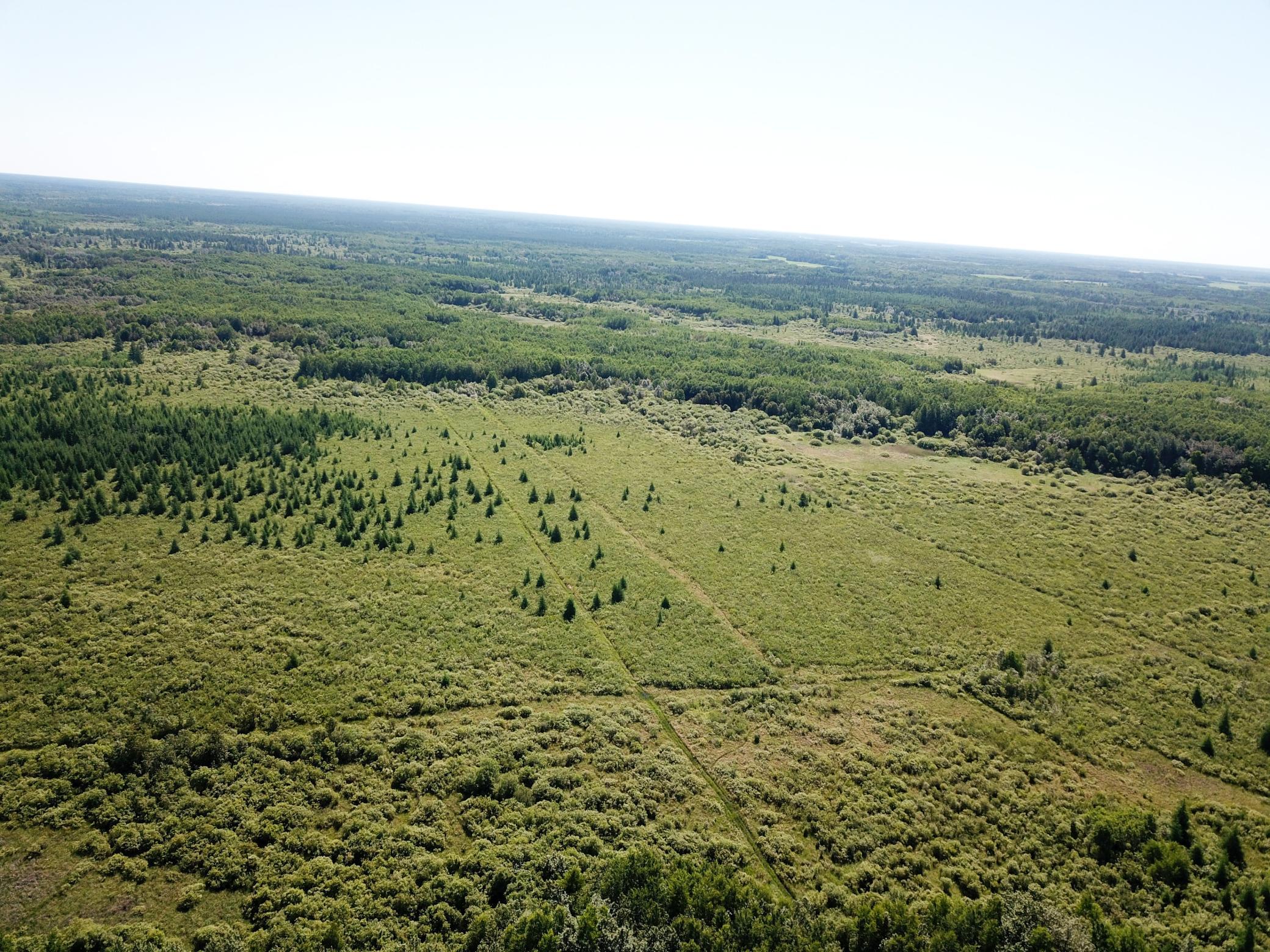 land for sale at TBD 440th Avenue in Wannaska, MN (photo 8 of 80)