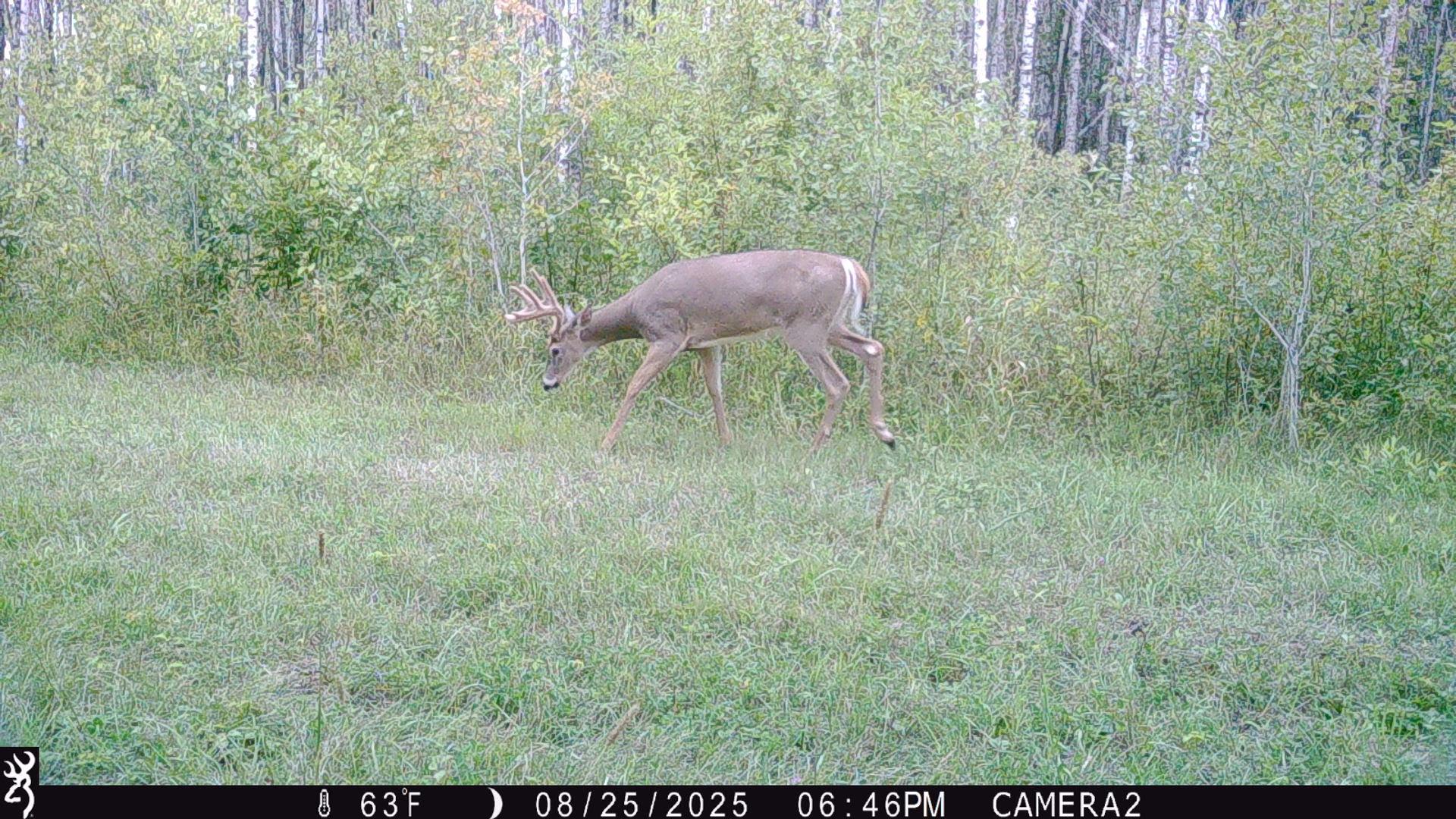 land for sale at TBD 440th Avenue in Wannaska, MN (photo 72 of 80)