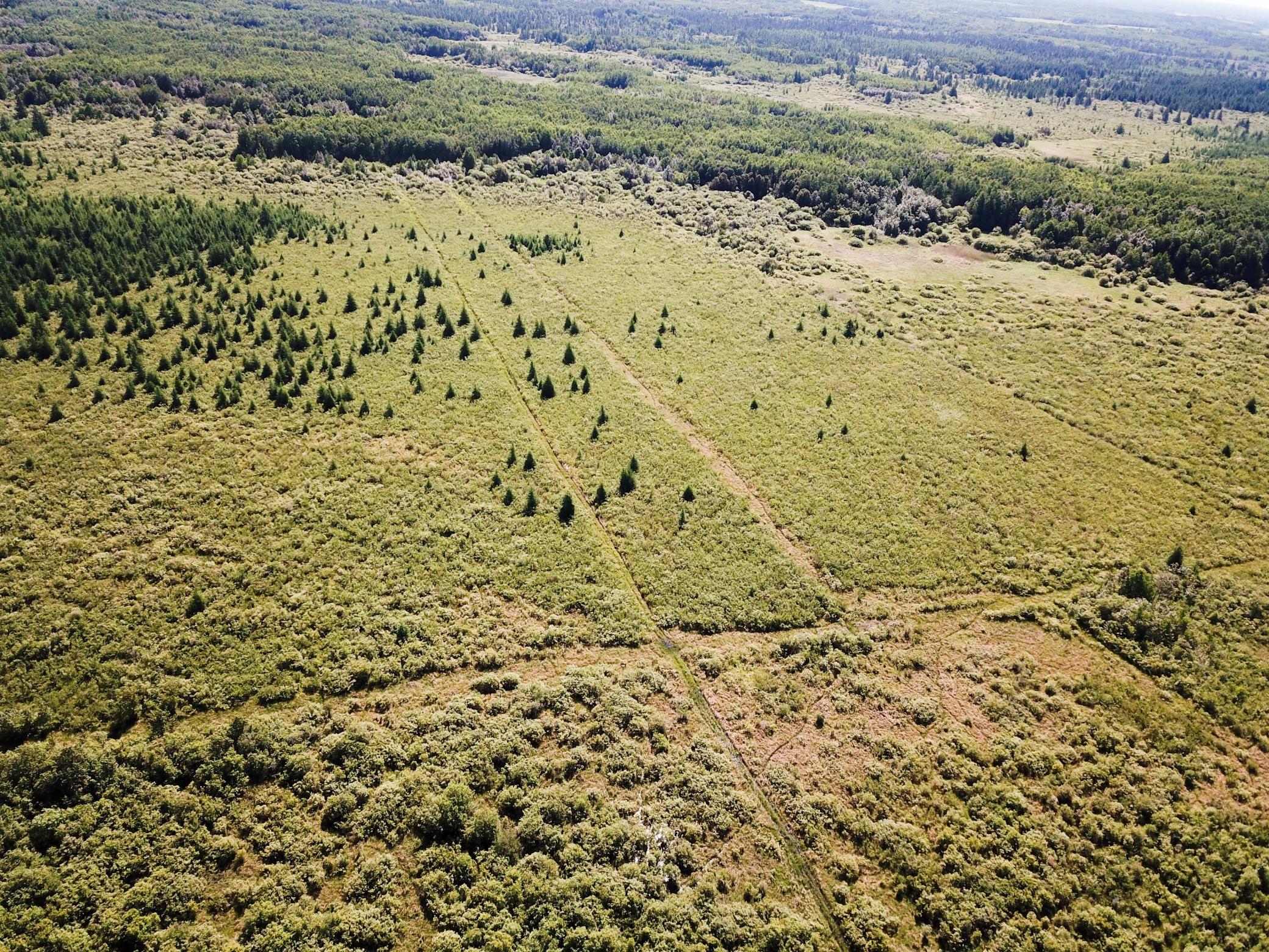 land for sale at TBD 440th Avenue in Wannaska, MN (photo 9 of 80)