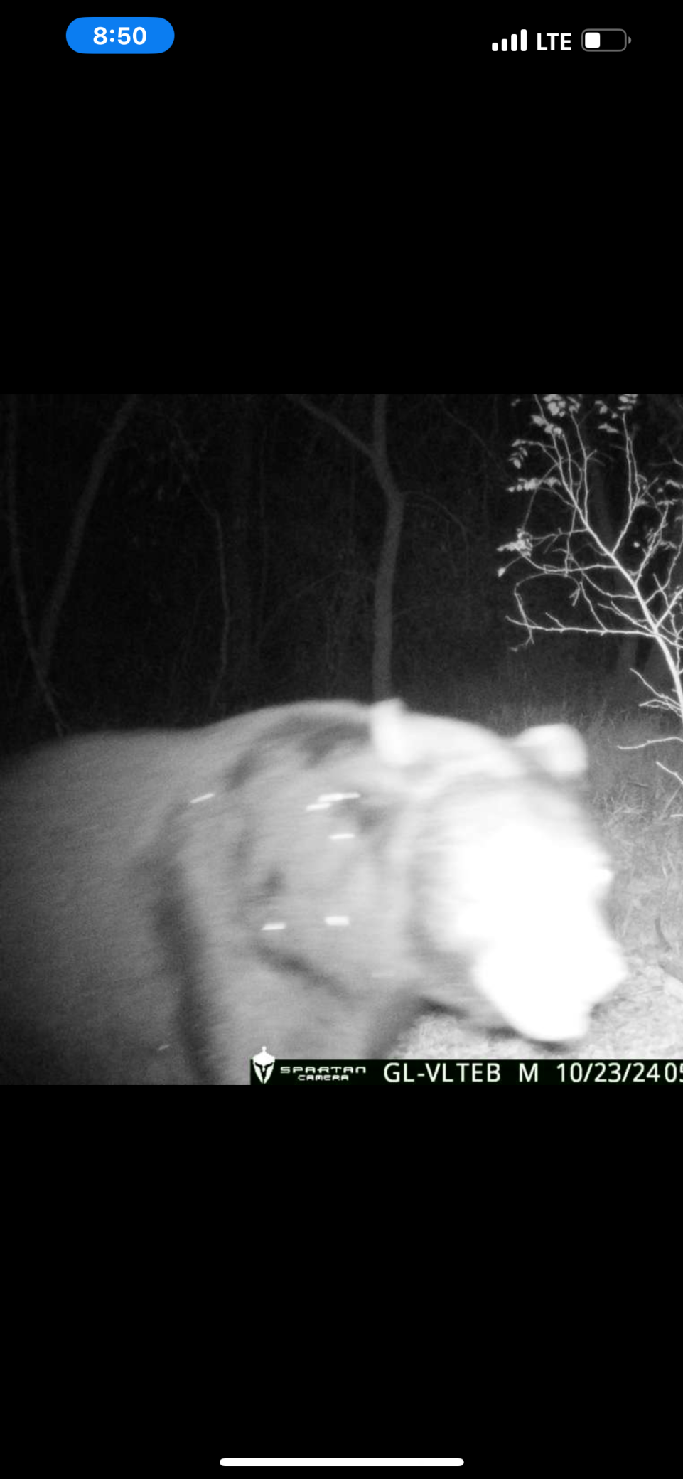 43914 CO HWY 6, Clitherall MN 56524 - Photo 26 of 31