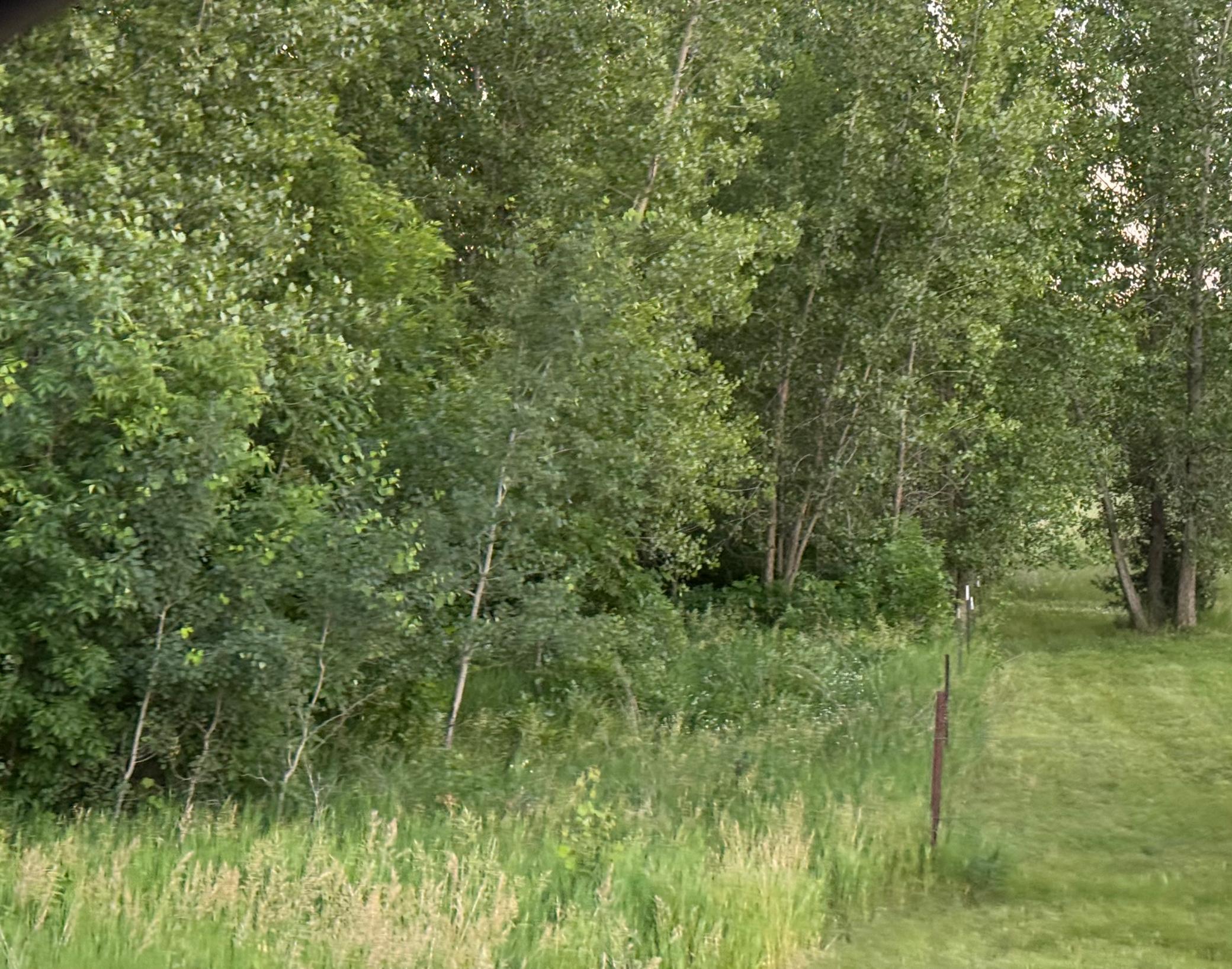 13473 Bittner Drive, Sauk Centre MN 56378 - Photo 12 of 18