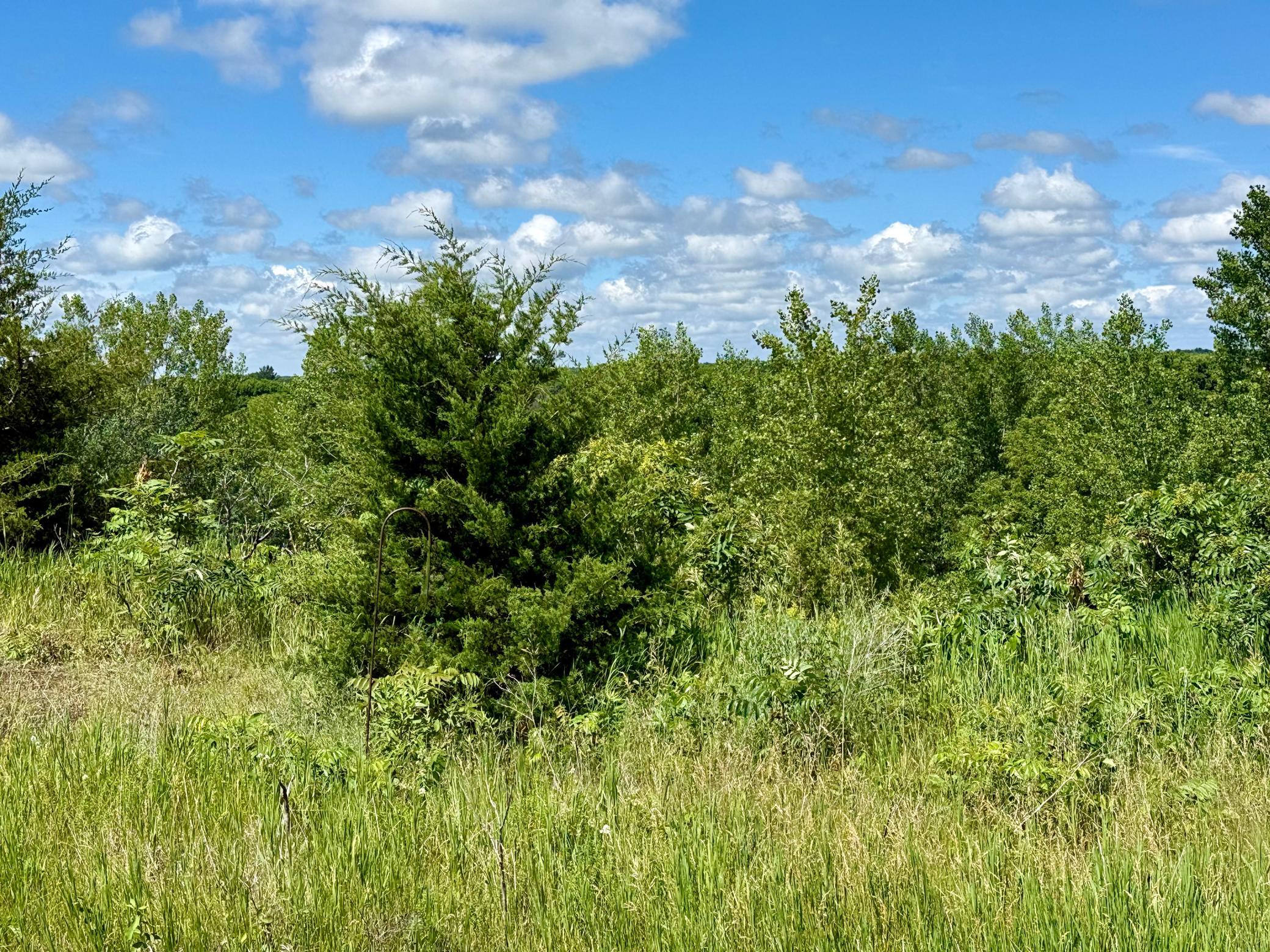 13473 Bittner Drive, Sauk Centre MN 56378 - Photo 17 of 18