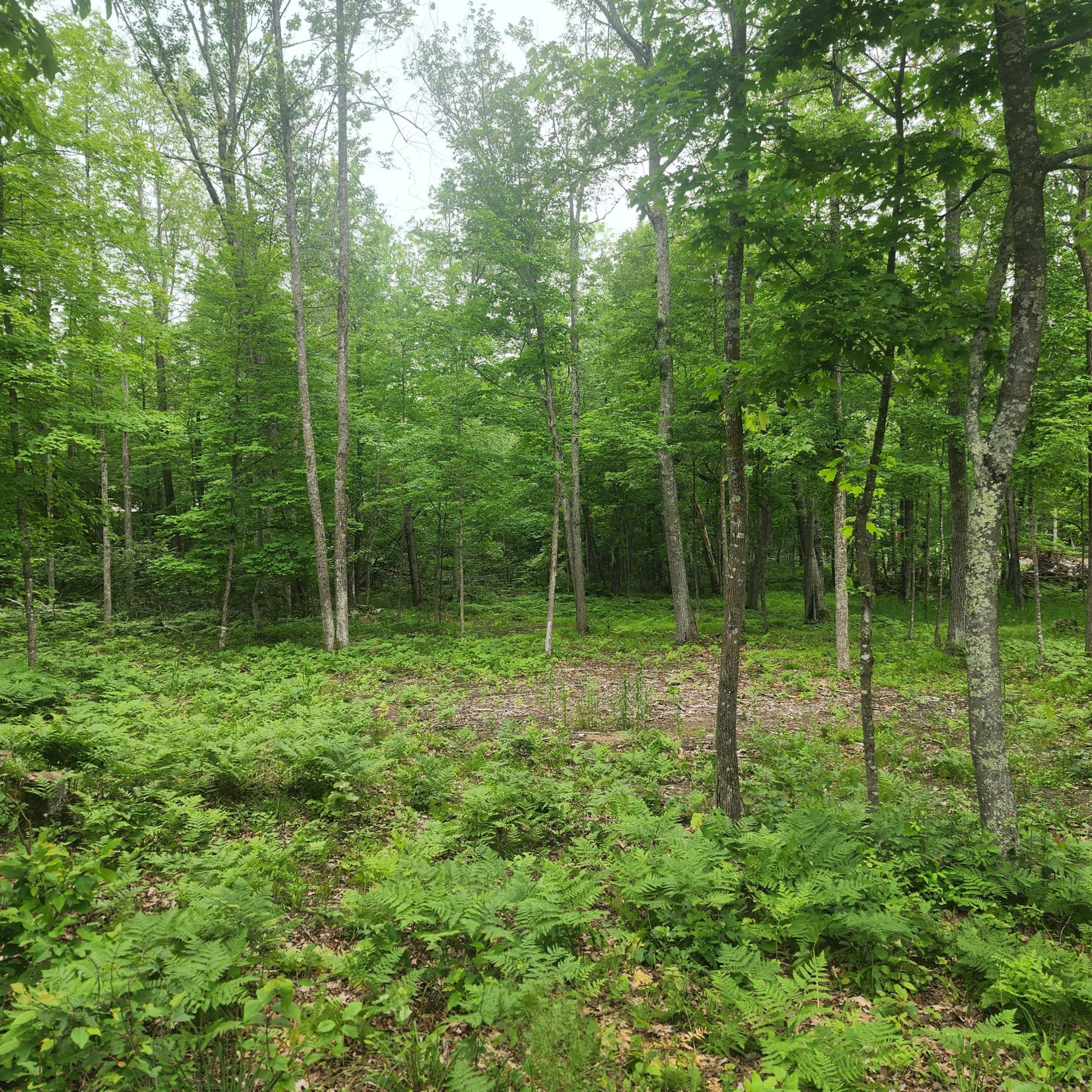 TBD 186TH AVE, McGregor MN 55760 - Photo 2 of 6