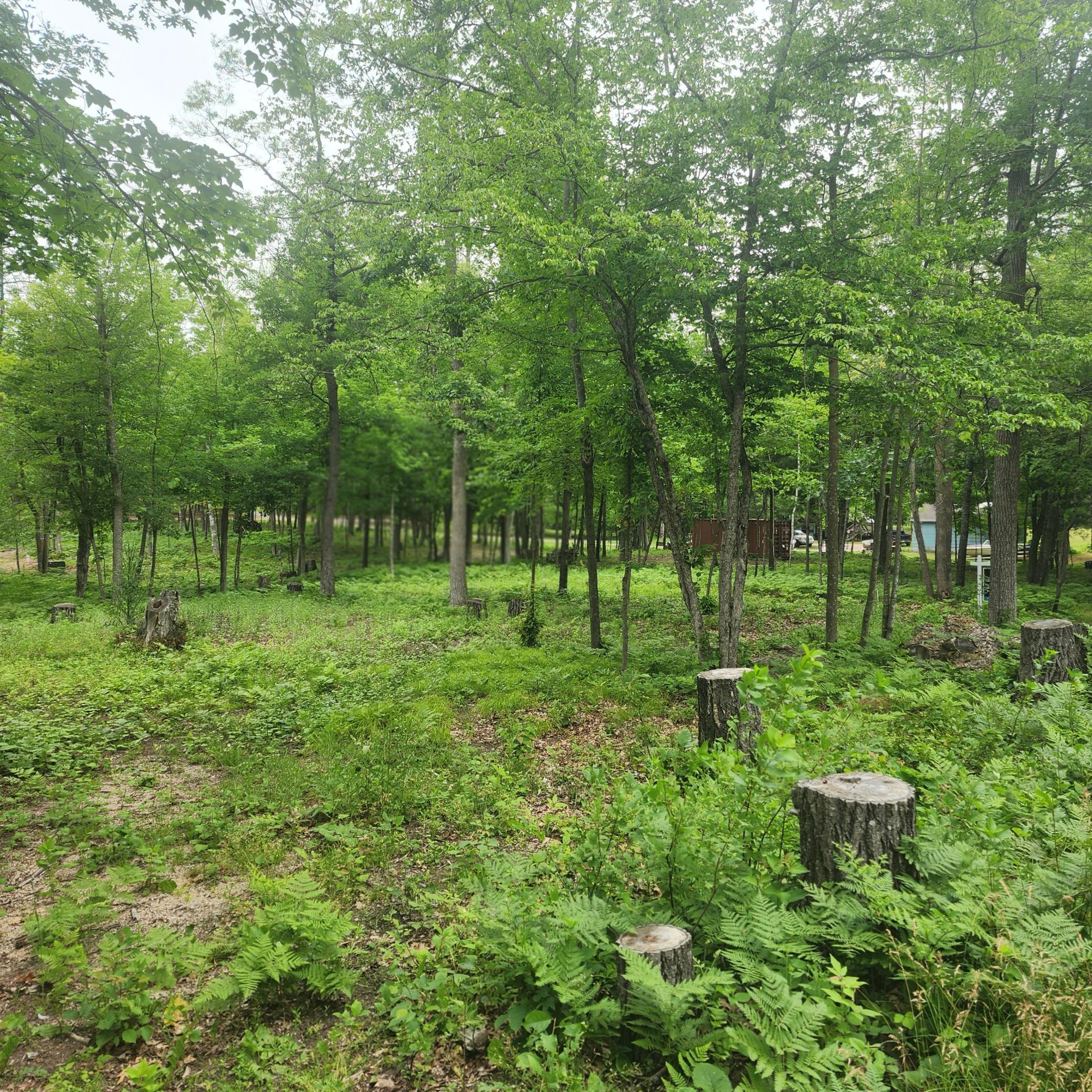 TBD 186TH AVE, McGregor MN 55760 - Photo 3 of 6