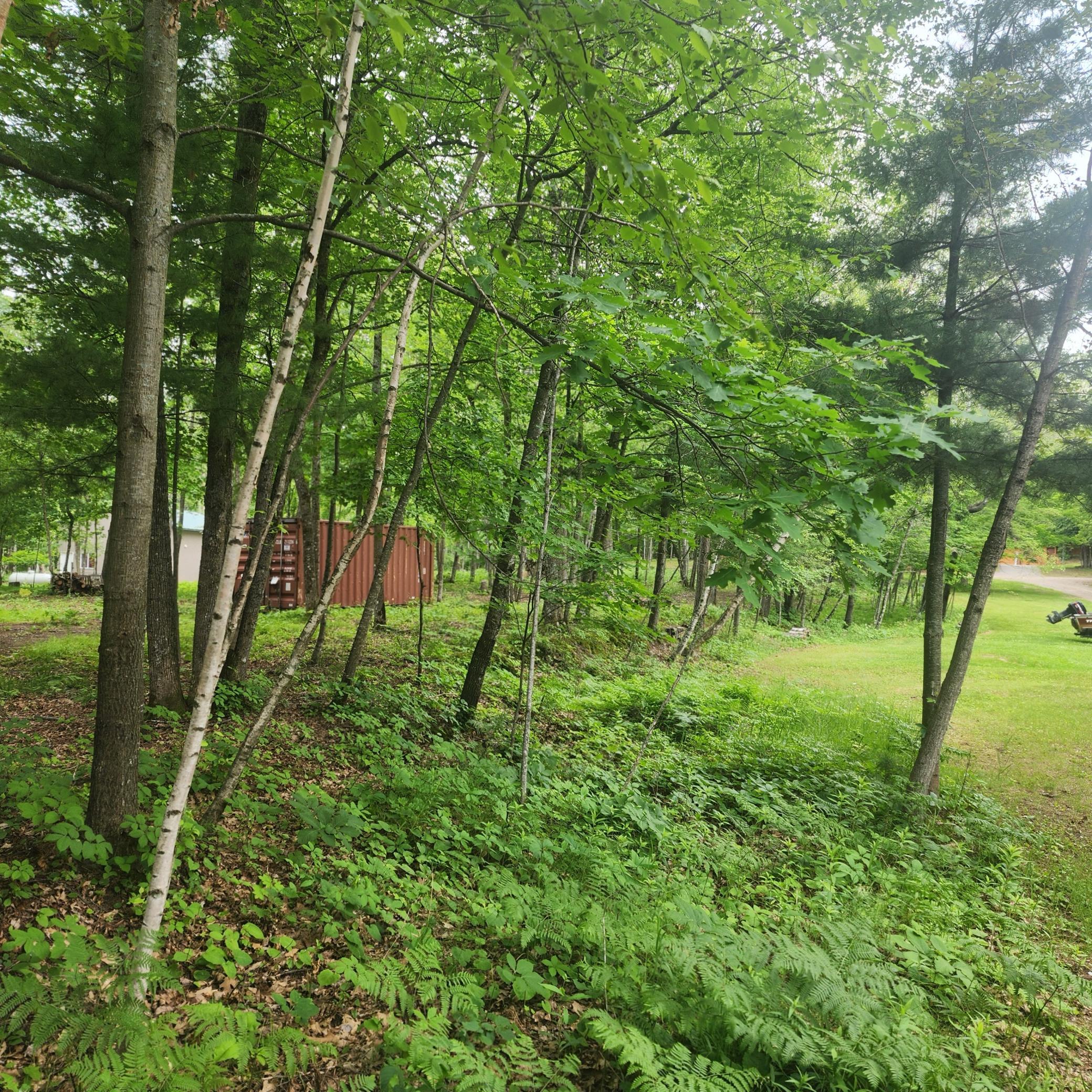 TBD 186TH AVE, McGregor MN 55760 - Photo 5 of 6