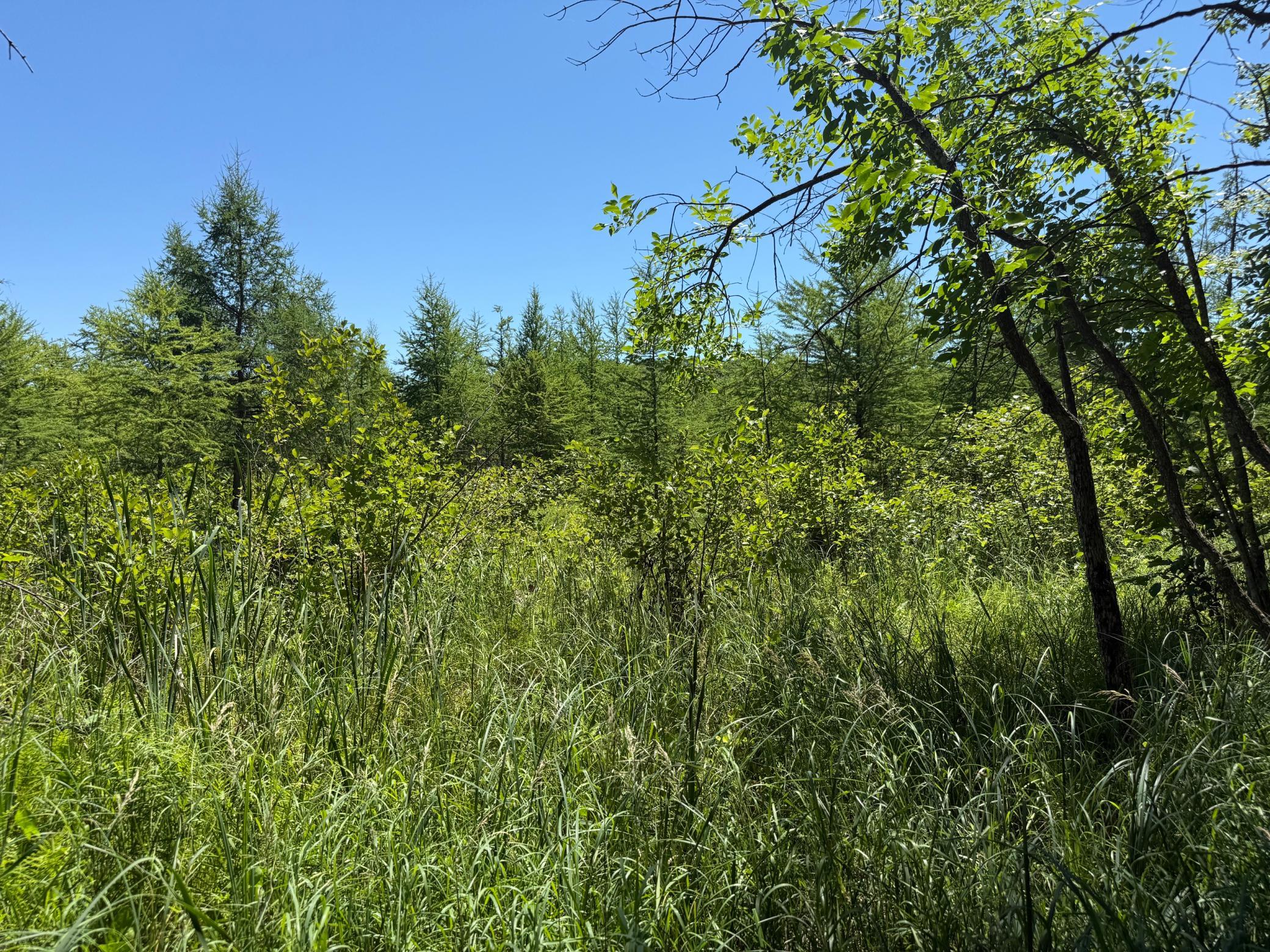 TBD_3 Clearwater Point Road, Brainerd MN 56401 - Photo 16 of 21