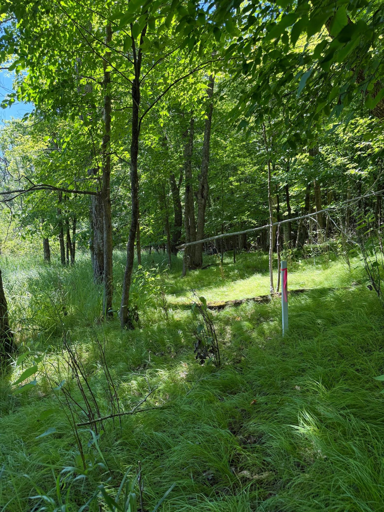 TBD_3 Clearwater Point Road, Brainerd MN 56401 - Photo 21 of 21