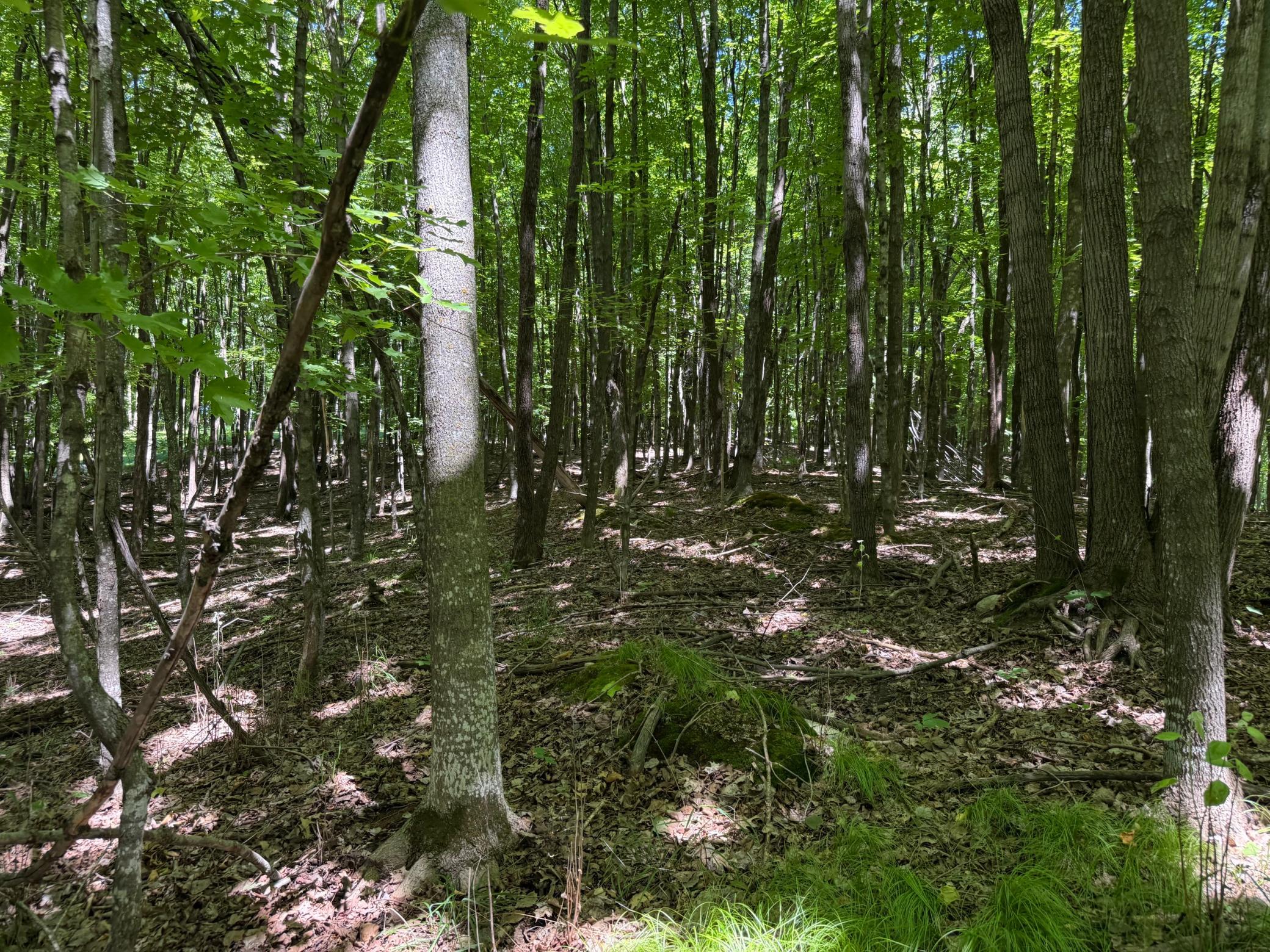 TBD_3 Clearwater Point Road, Brainerd MN 56401 - Photo 8 of 21