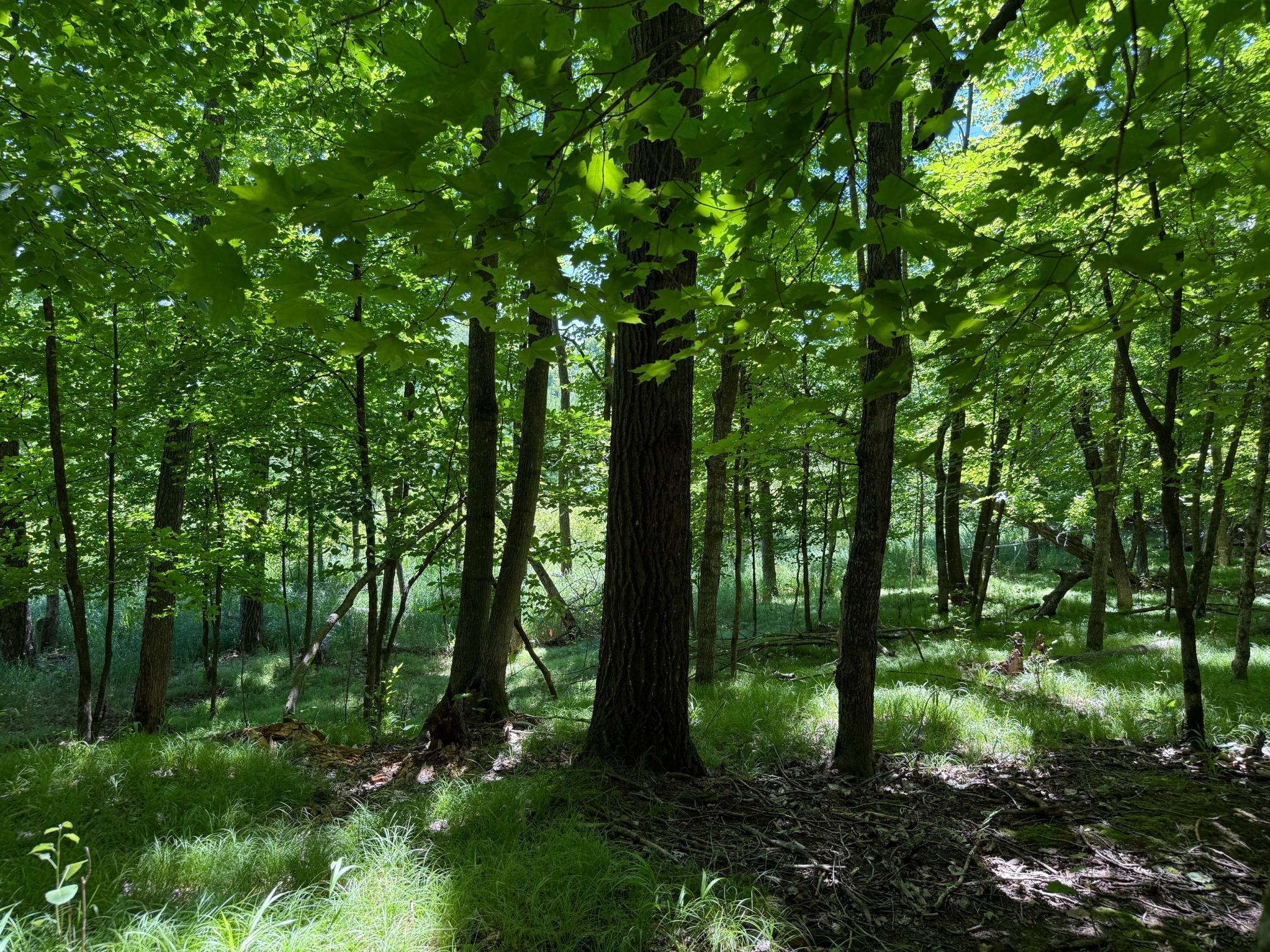 TBD_3 Clearwater Point Road, Brainerd MN 56401 - Photo 9 of 21
