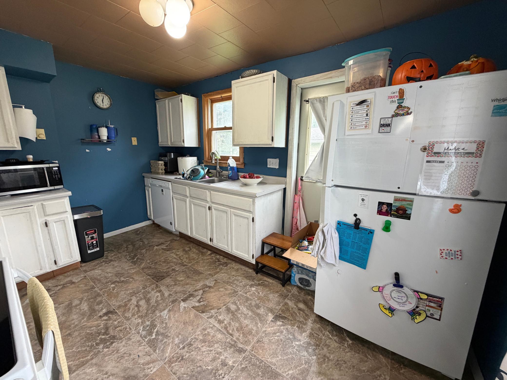 204 3rd Avenue SW, Roseau MN 56751 - Photo 10 of 26