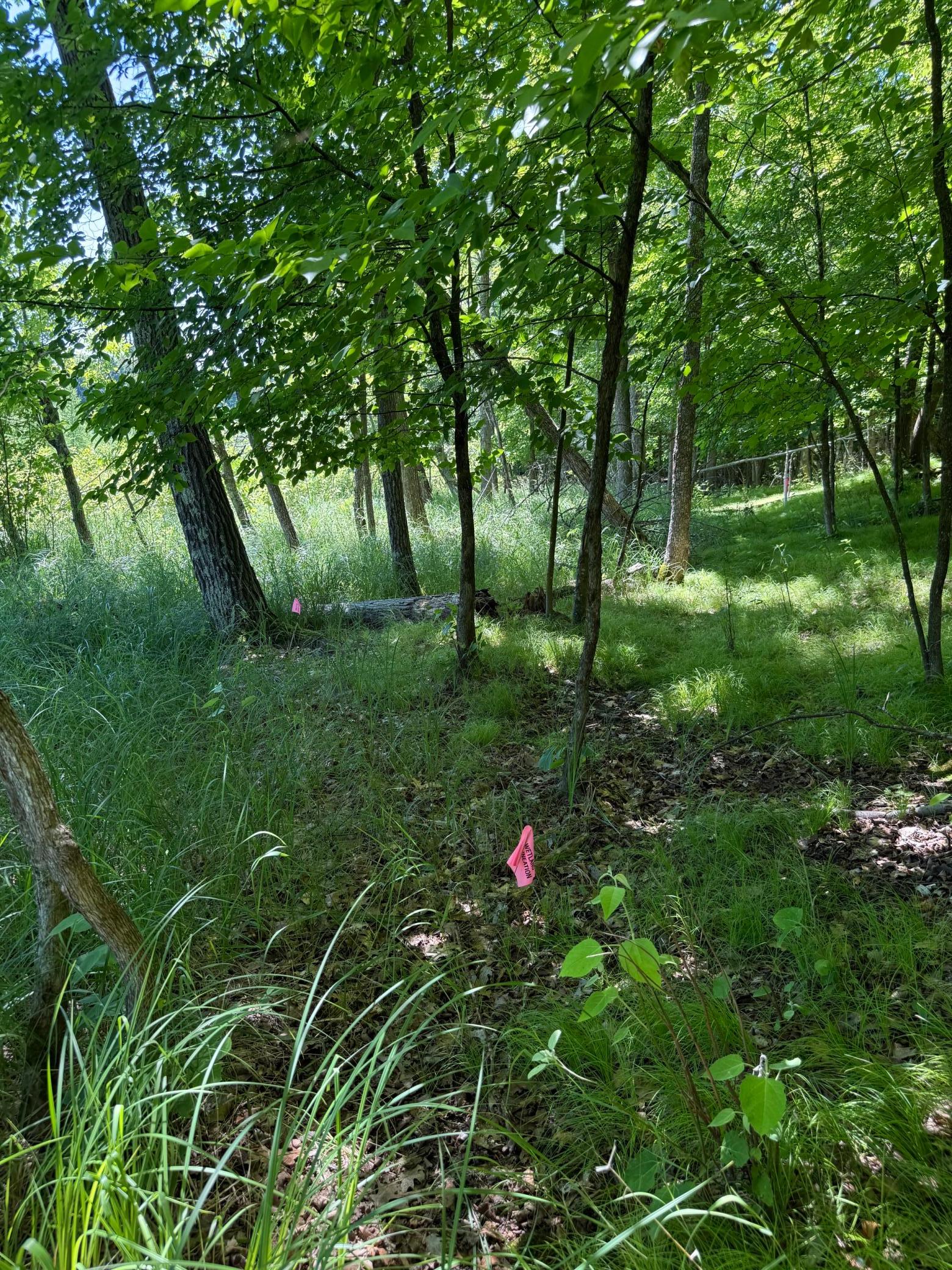 TBD_4 Clearwater Point Road, Brainerd MN 56401 - Photo 19 of 21