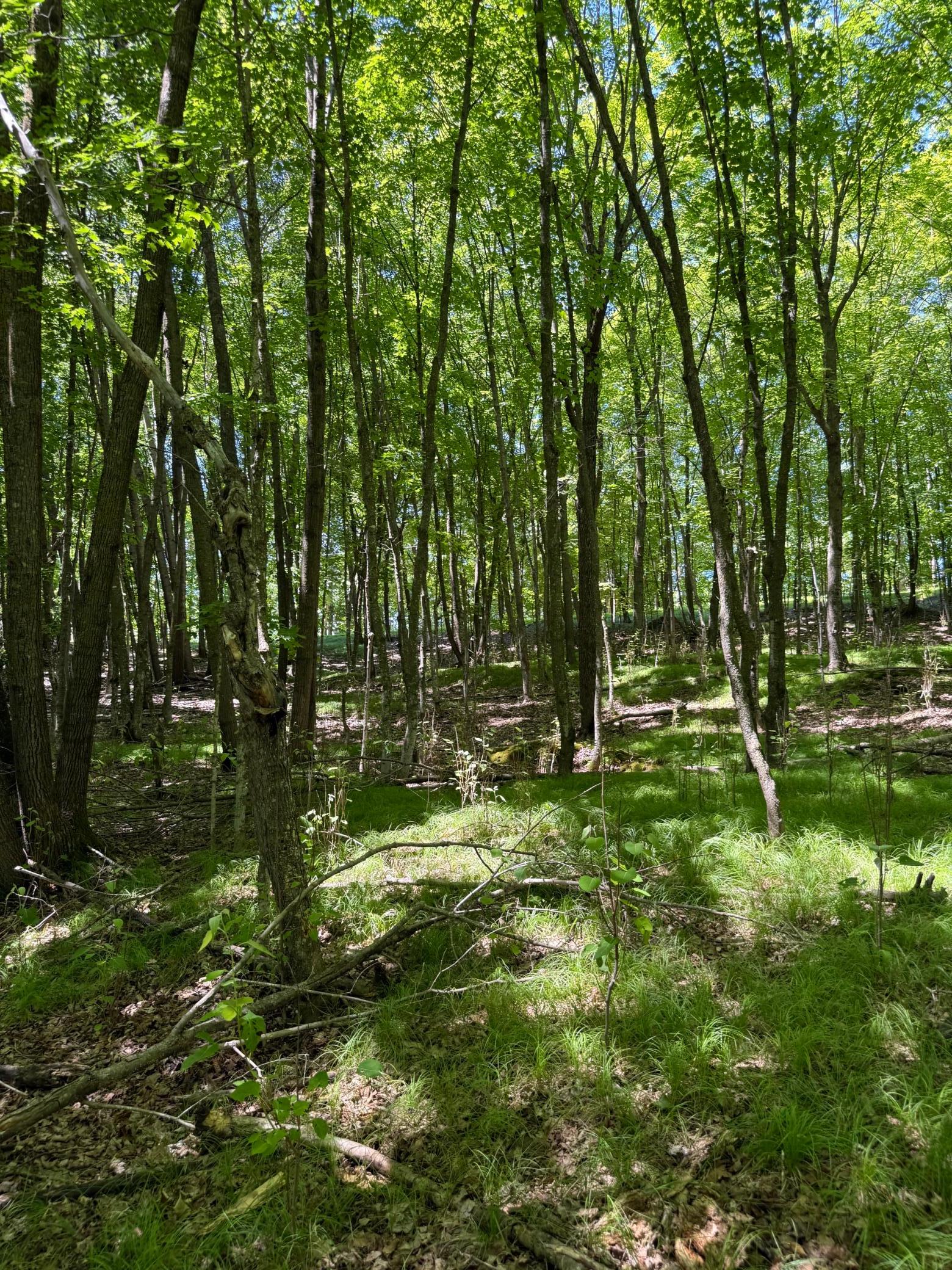 TBD_4 Clearwater Point Road, Brainerd MN 56401 - Photo 21 of 21