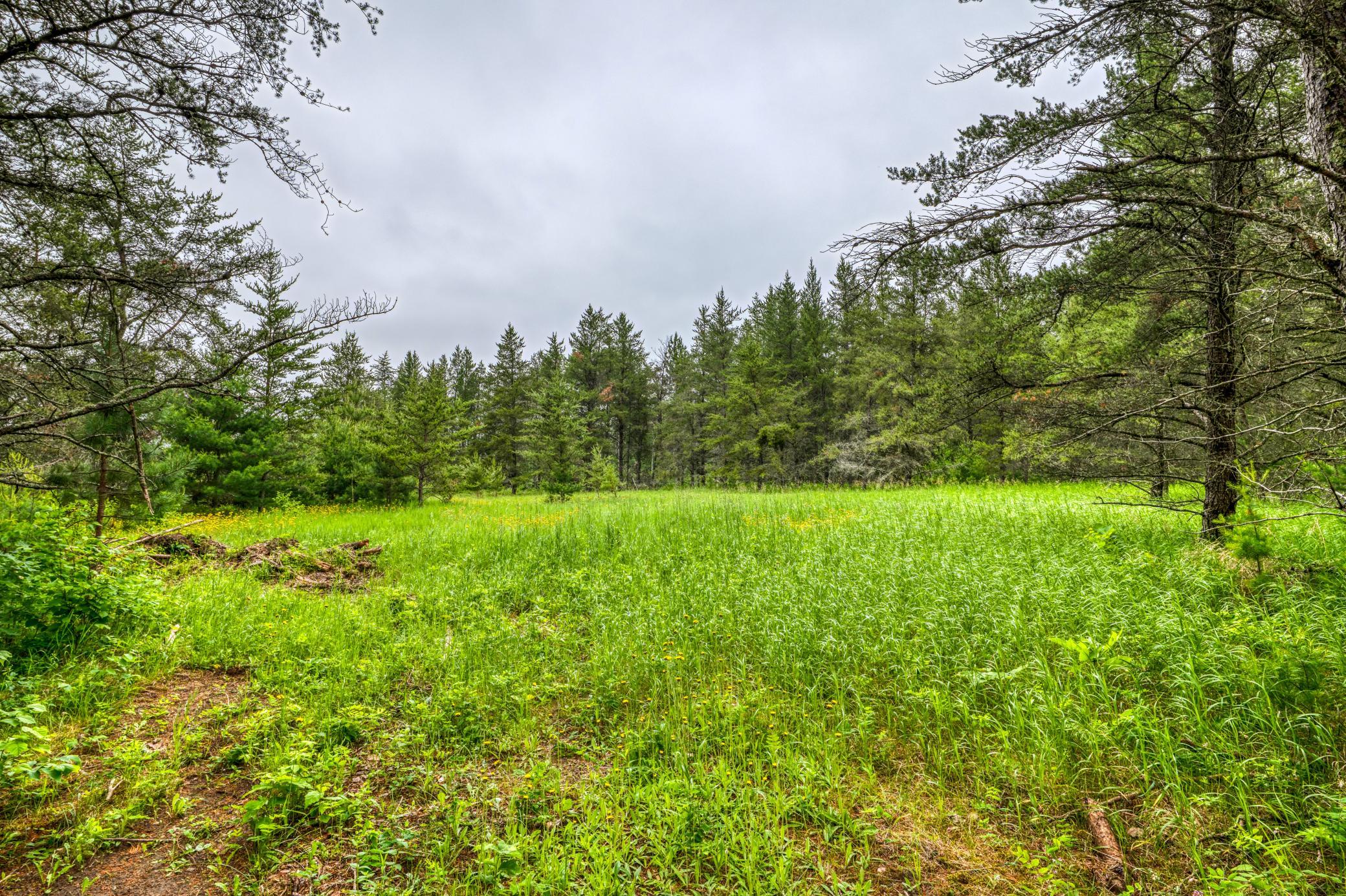 12891 Bemidji Road NE, Bemidji MN 56601 - Photo 71 of 99