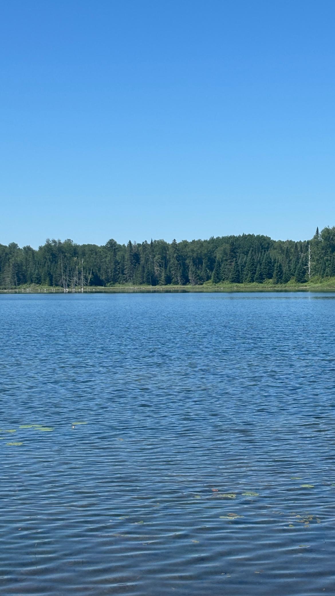 37363 Amen Lake Road, Deer River MN 56636 - Photo 13 of 28
