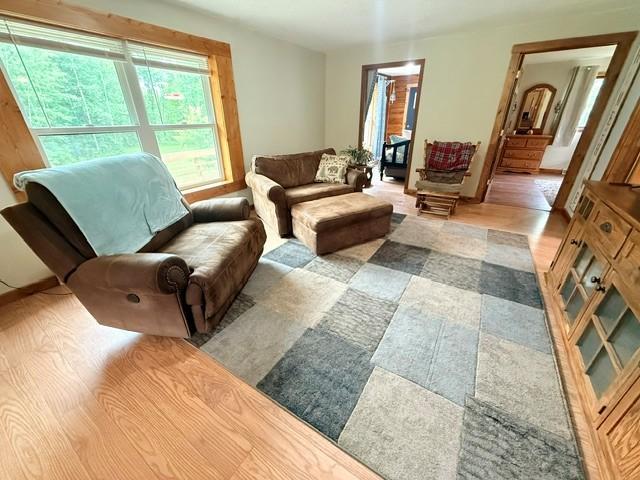 25729 Hay Creek Road NE, Tenstrike MN 56683 - Photo 22 of 36