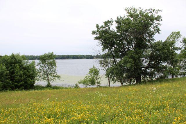 Lot C Echo Ridge, Deerwood MN 56444 - Photo 8 of 8