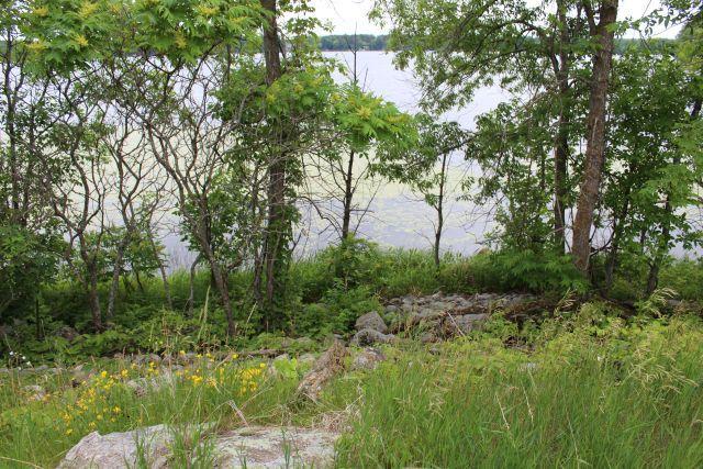 Lot D Echo Ridge, Deerwood MN 56444 - Photo 7 of 7