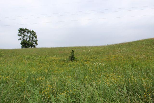 Lot E Echo Ridge, Deerwood MN 56444 - Photo 8 of 8