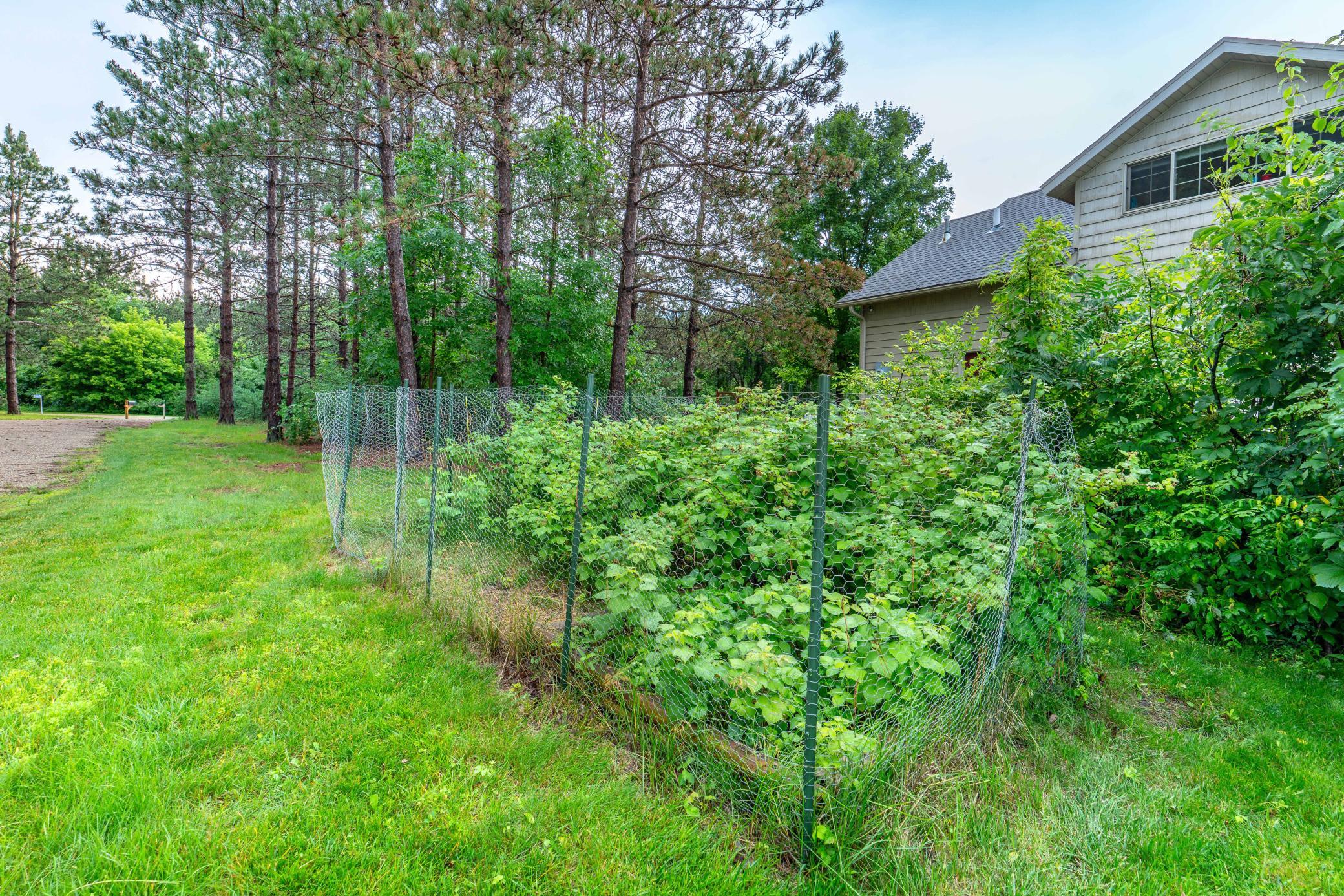 20265 Swenson Drive, Clitherall MN 56524 - Photo 13 of 45