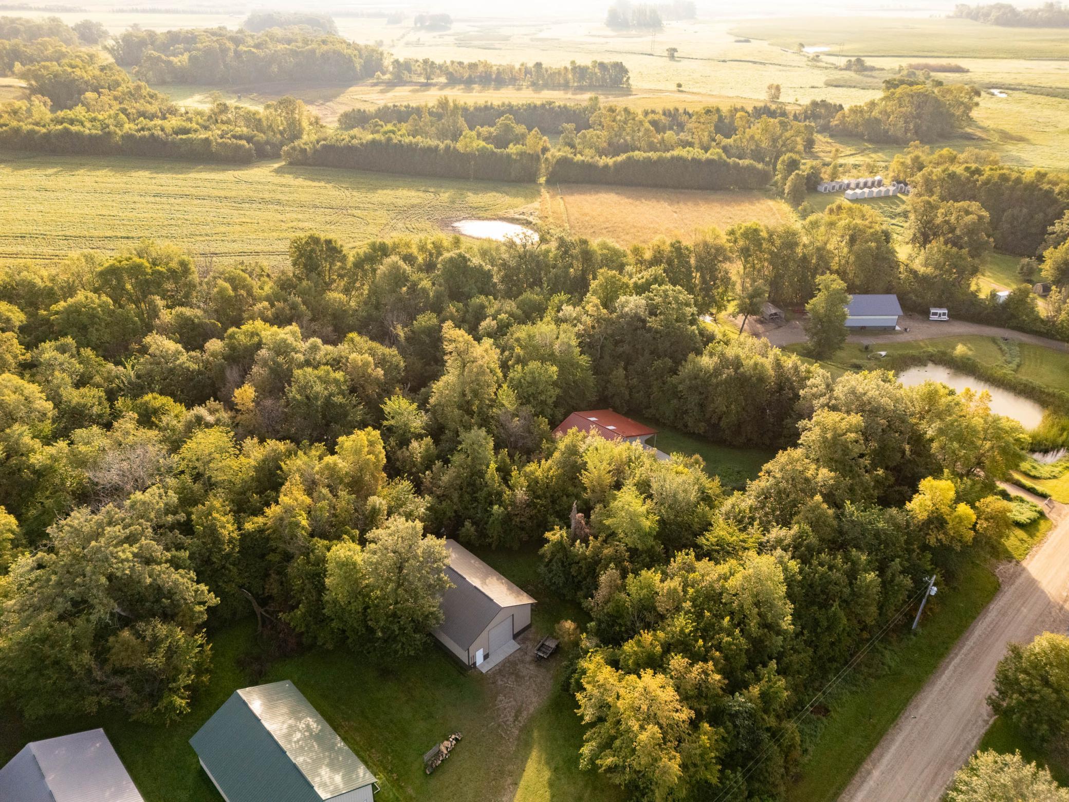 TBD Smith Lake Road SE, Osakis MN 56360 - Photo 8 of 12