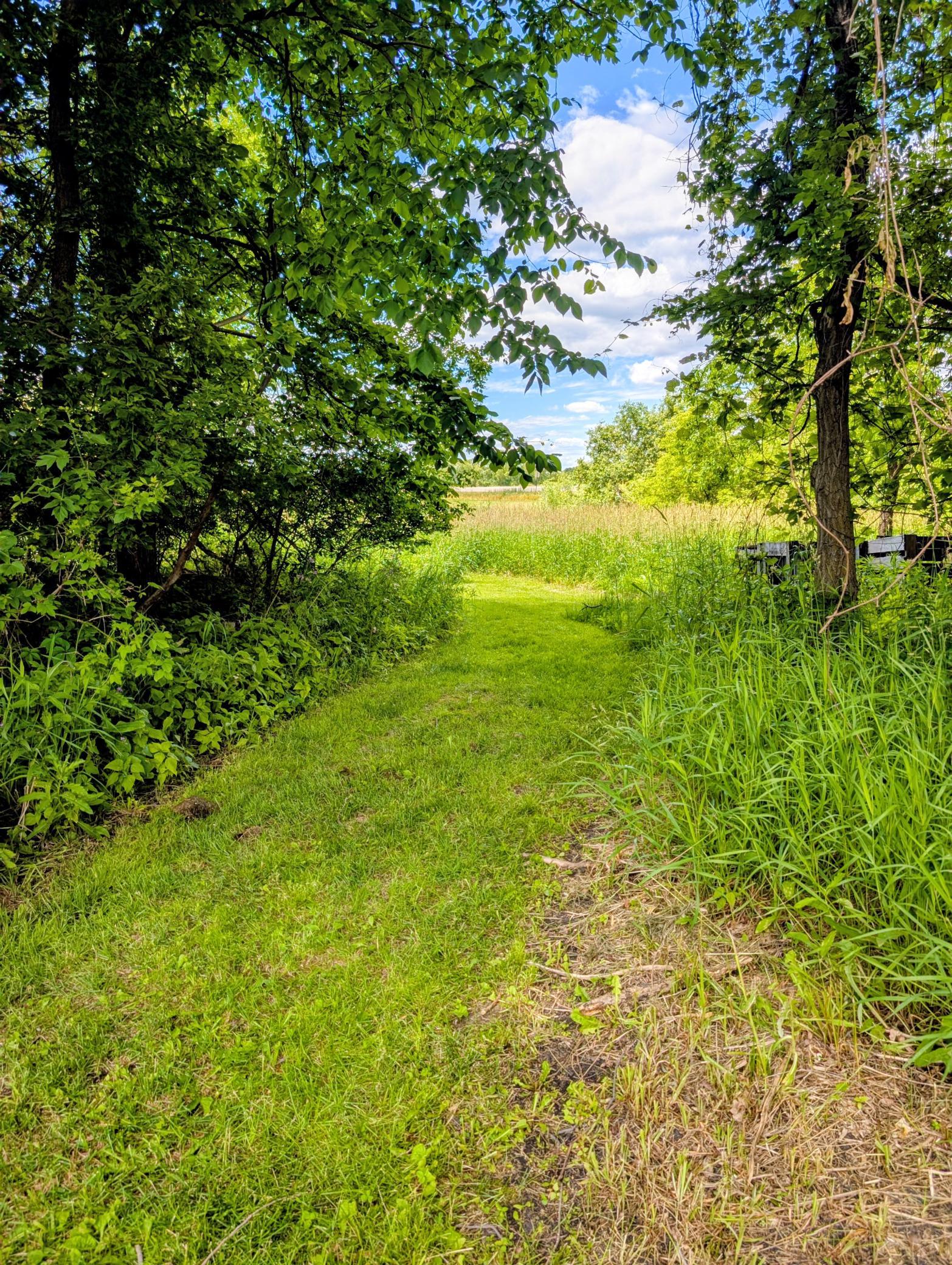 21165 Eagle Drive, Osakis MN 56360 - Photo 4 of 39