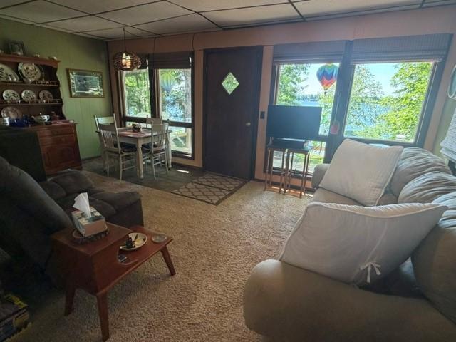 2047 Clover Lane NE, Longville MN 56655 - Photo 6 of 62