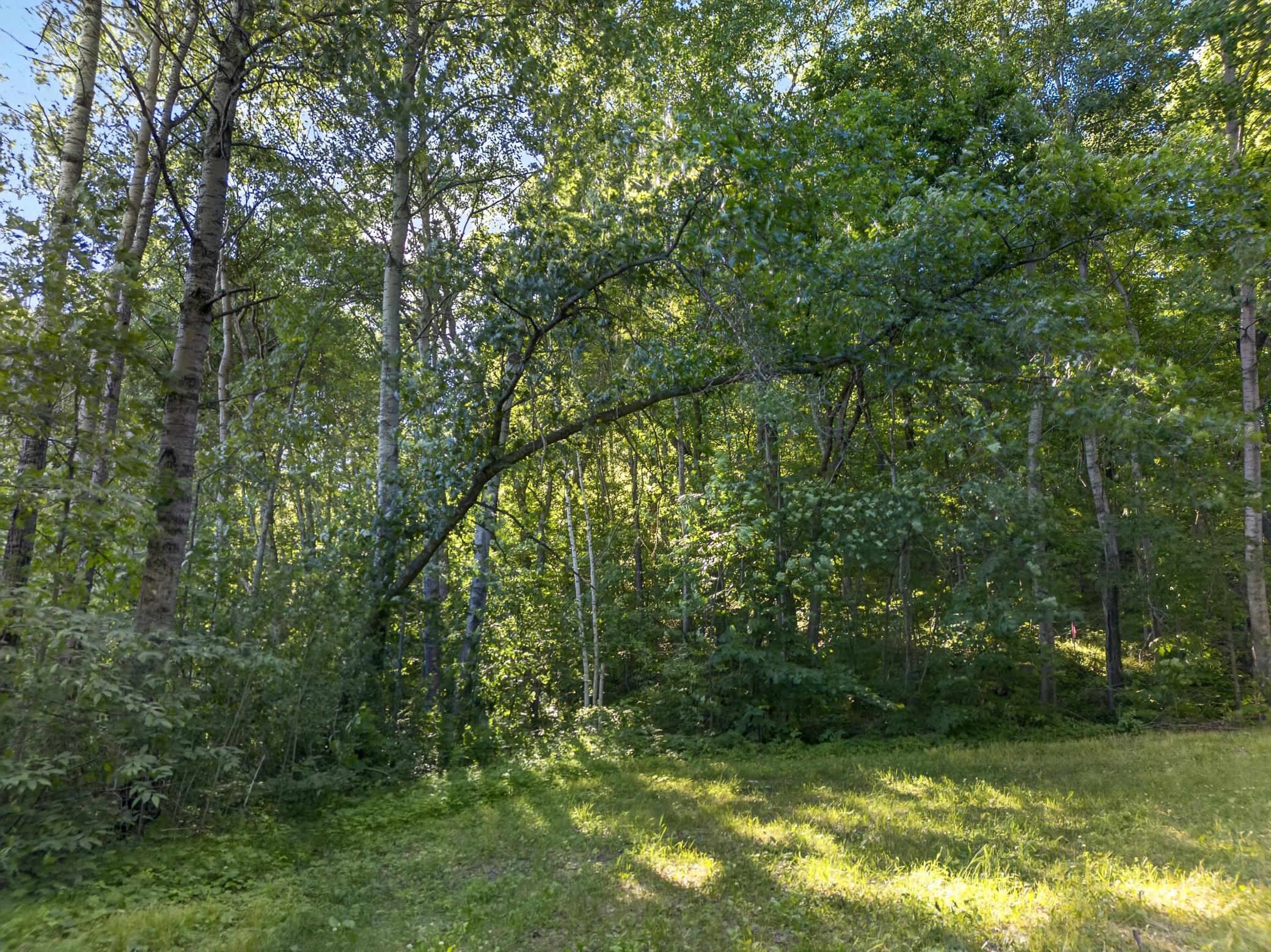 land for sale at TBD Hickory Lane in Garrison, MN (photo 4 of 10)