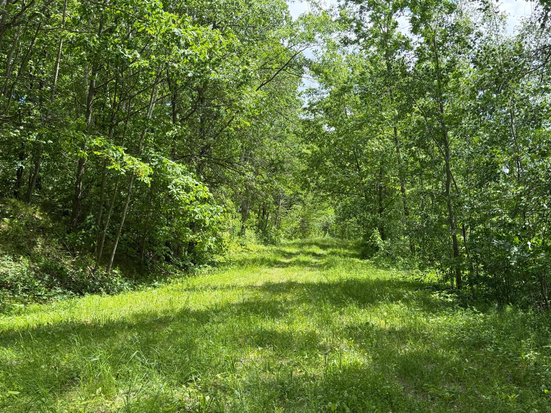 land for sale at TBD Hickory Lane in Garrison, MN (photo 5 of 10)