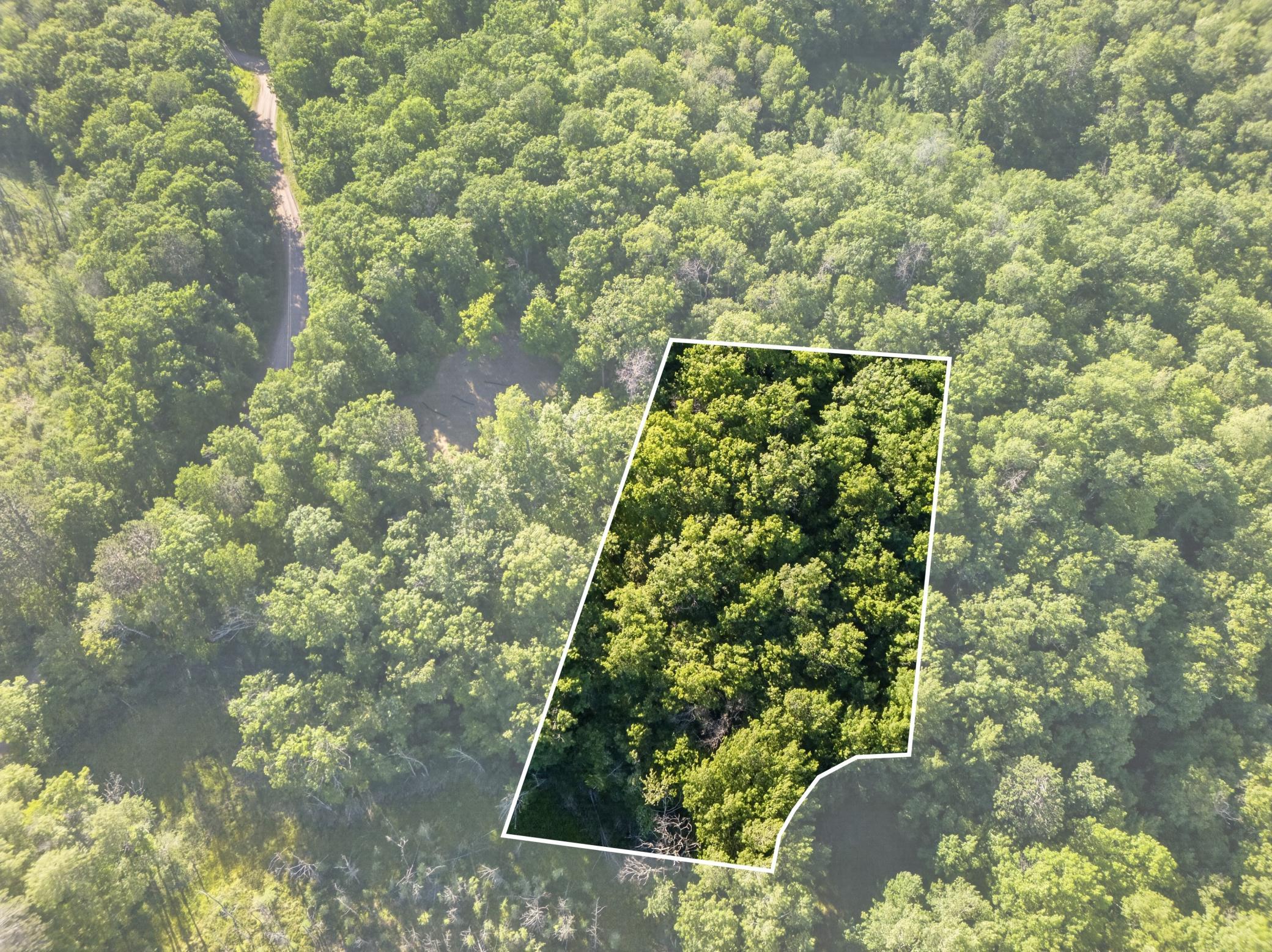 land for sale at TBD Hickory Lane in Garrison, MN (photo 6 of 10)