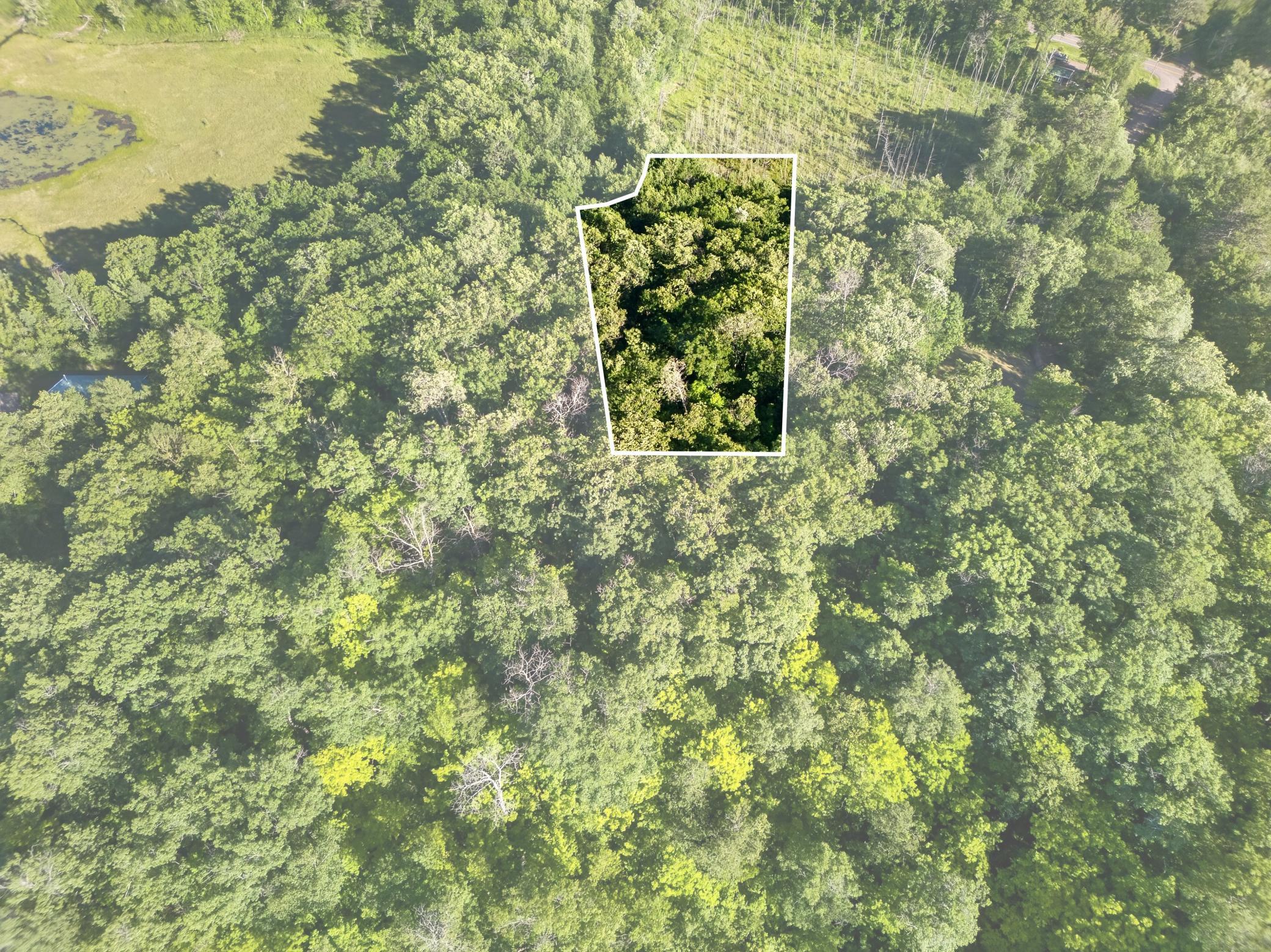 land for sale at TBD Hickory Lane in Garrison, MN (photo 7 of 10)