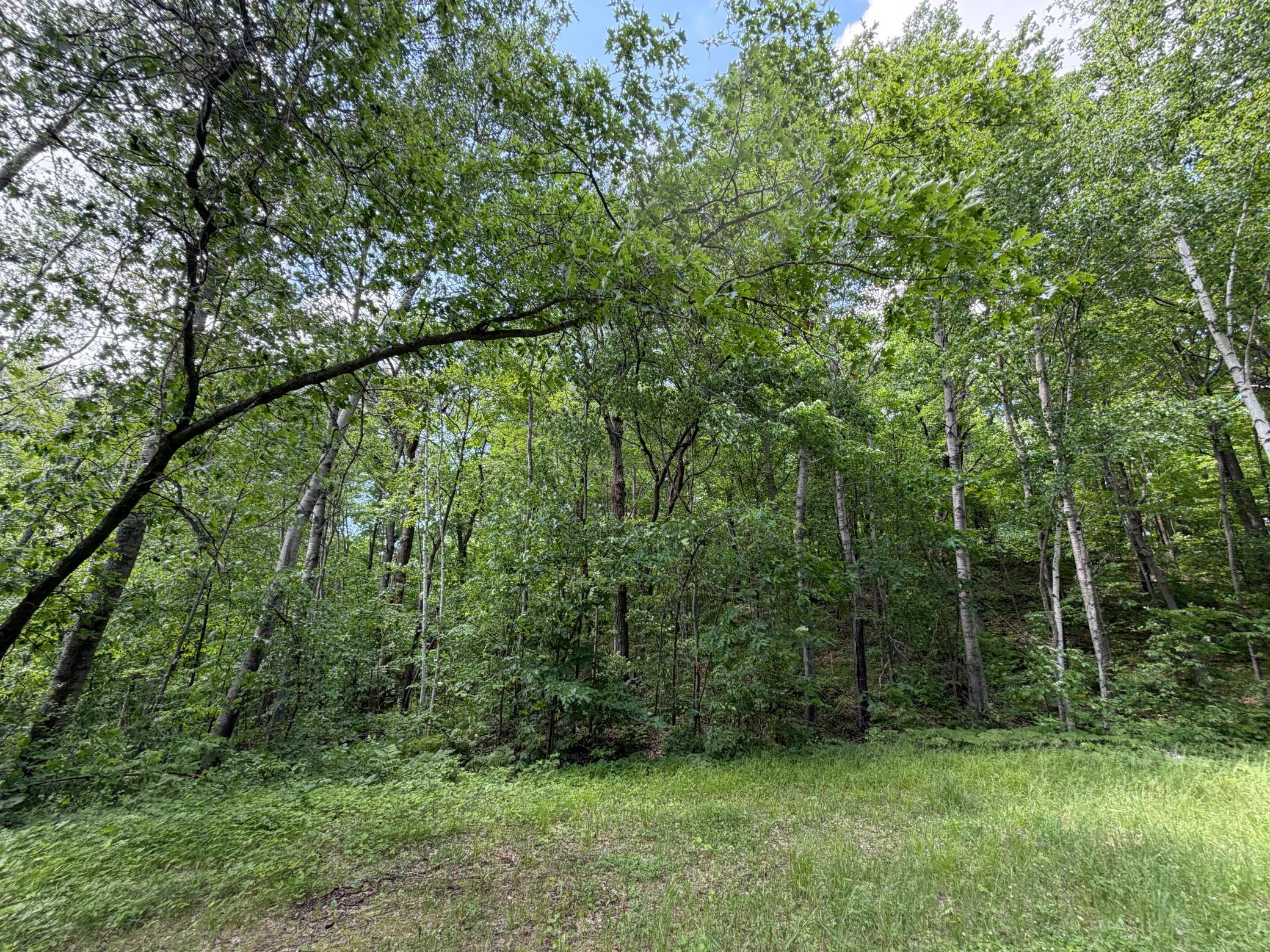 land for sale at TBD Hickory Lane in Garrison, MN (photo 8 of 10)