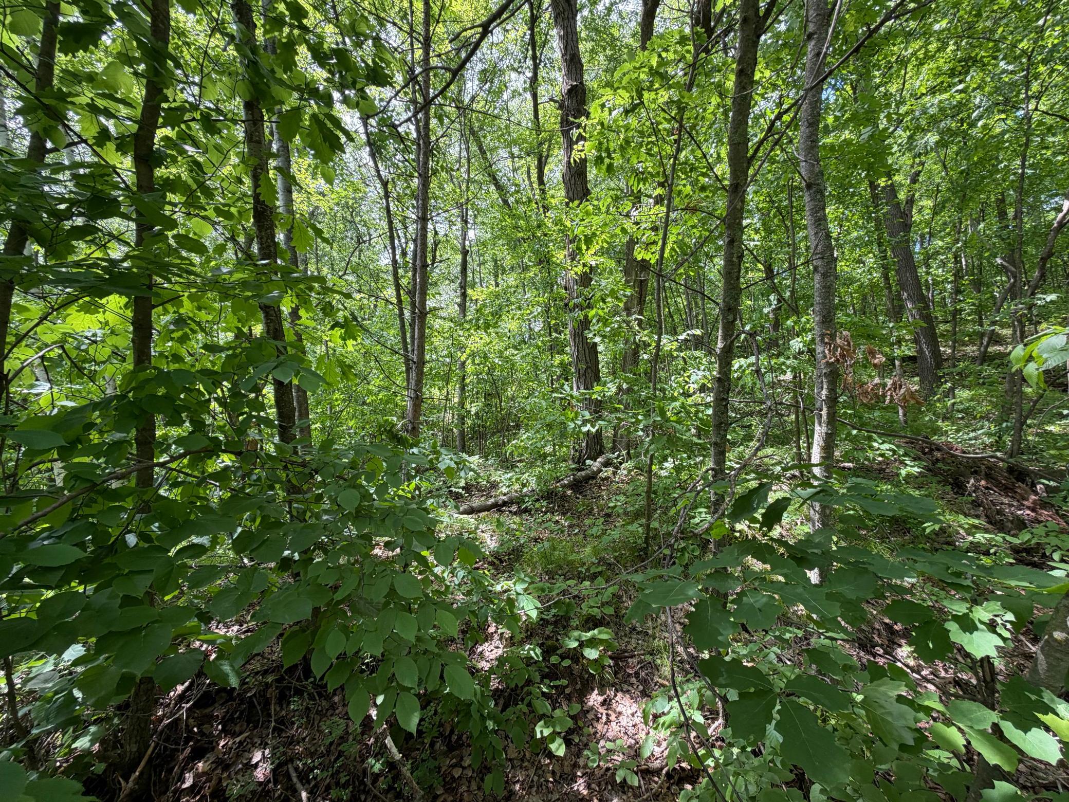 land for sale at TBD Hickory Lane in Garrison, MN (photo 10 of 10)