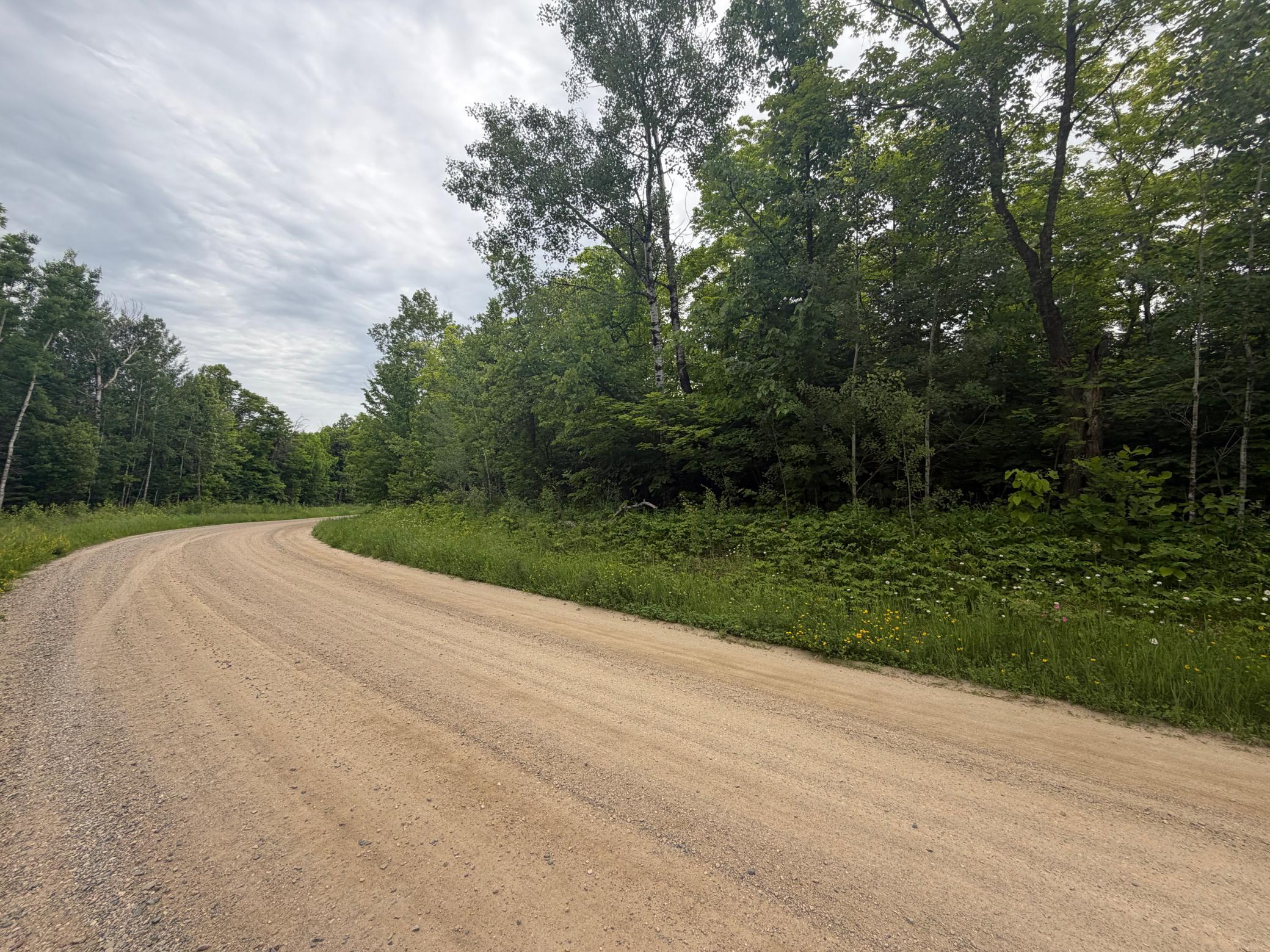 Lot 2 S Gull Lake Rd SW, Tenstrike MN 56647 - Photo 2 of 5