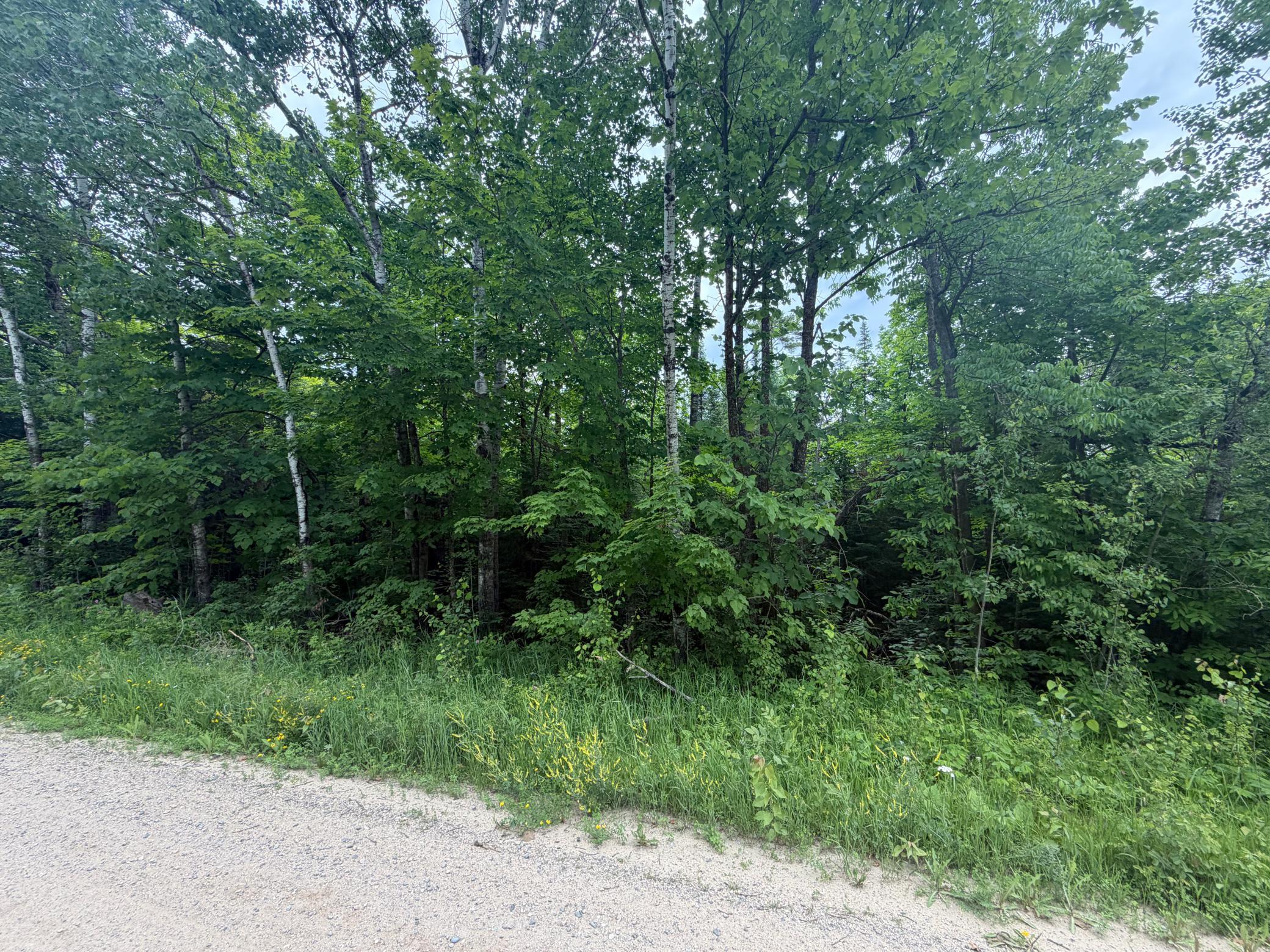 Lot 2 S Gull Lake Rd SW, Tenstrike MN 56647 - Photo 3 of 5