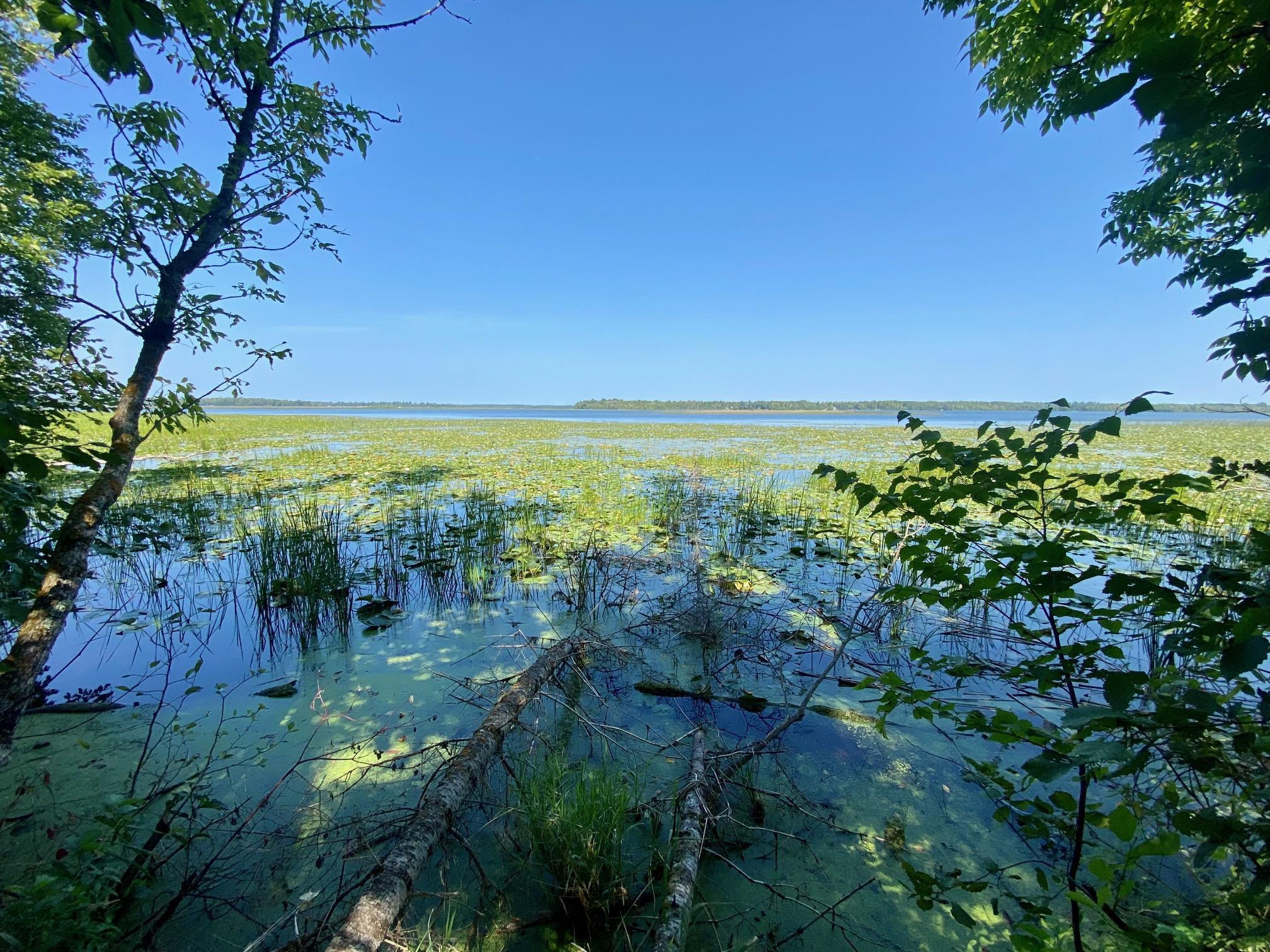 Lot 2 S Gull Lake Rd SW, Tenstrike MN 56647 - Photo 5 of 5
