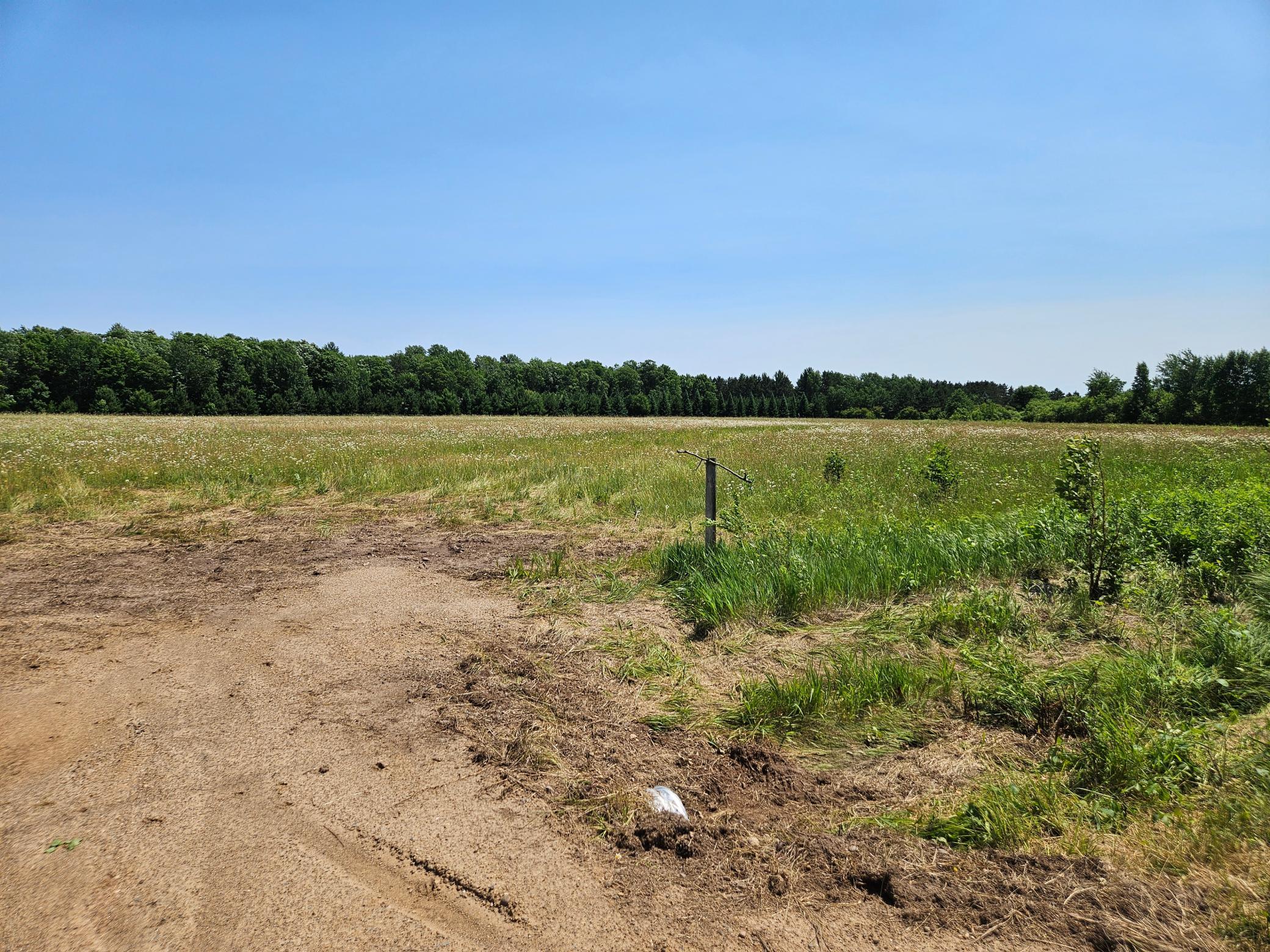 TBD Thorson Road, Brainerd MN 56401 - Photo 5 of 15