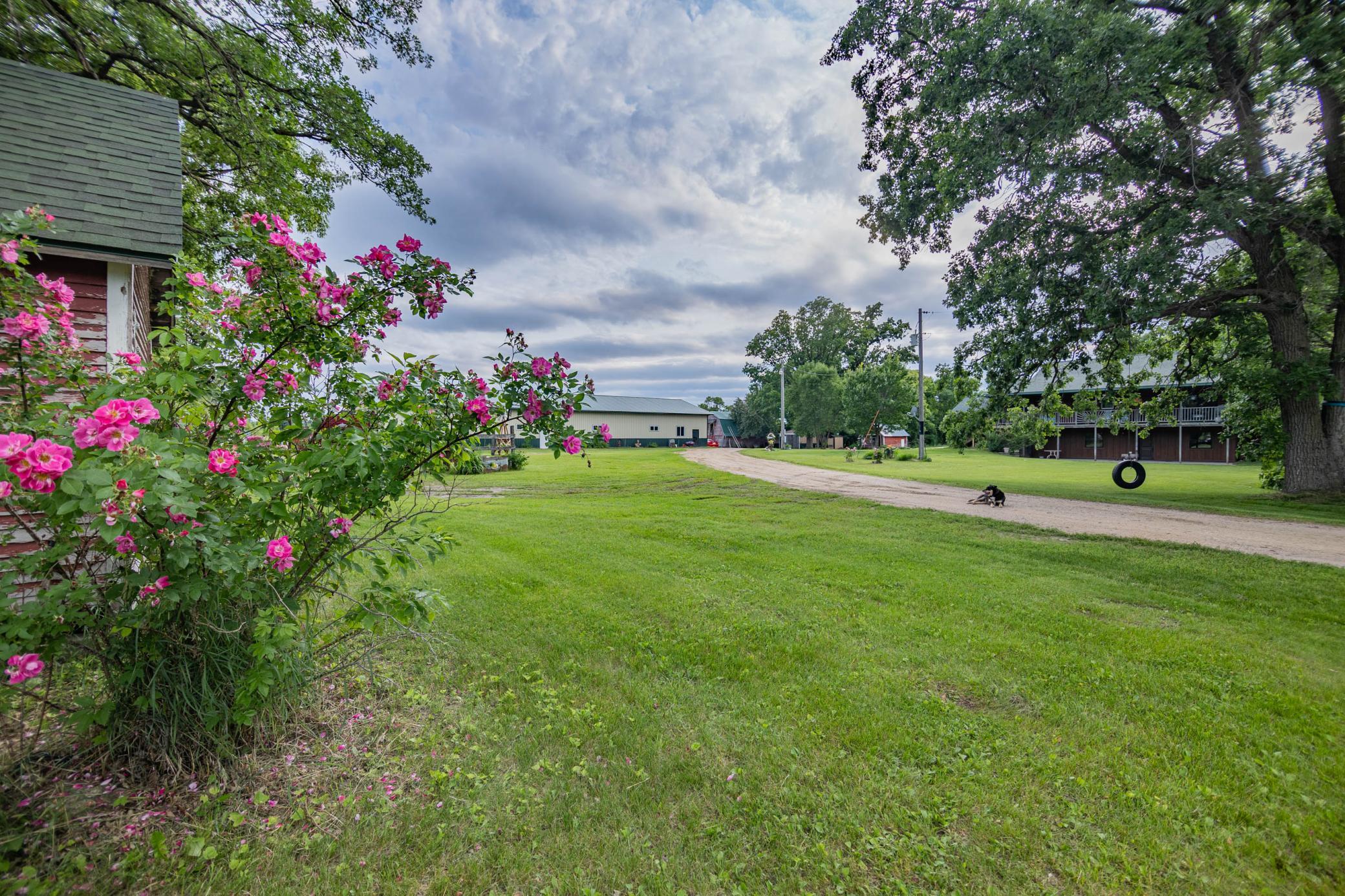 51374 330th Street, New York Mills MN 56567 - Photo 12 of 80