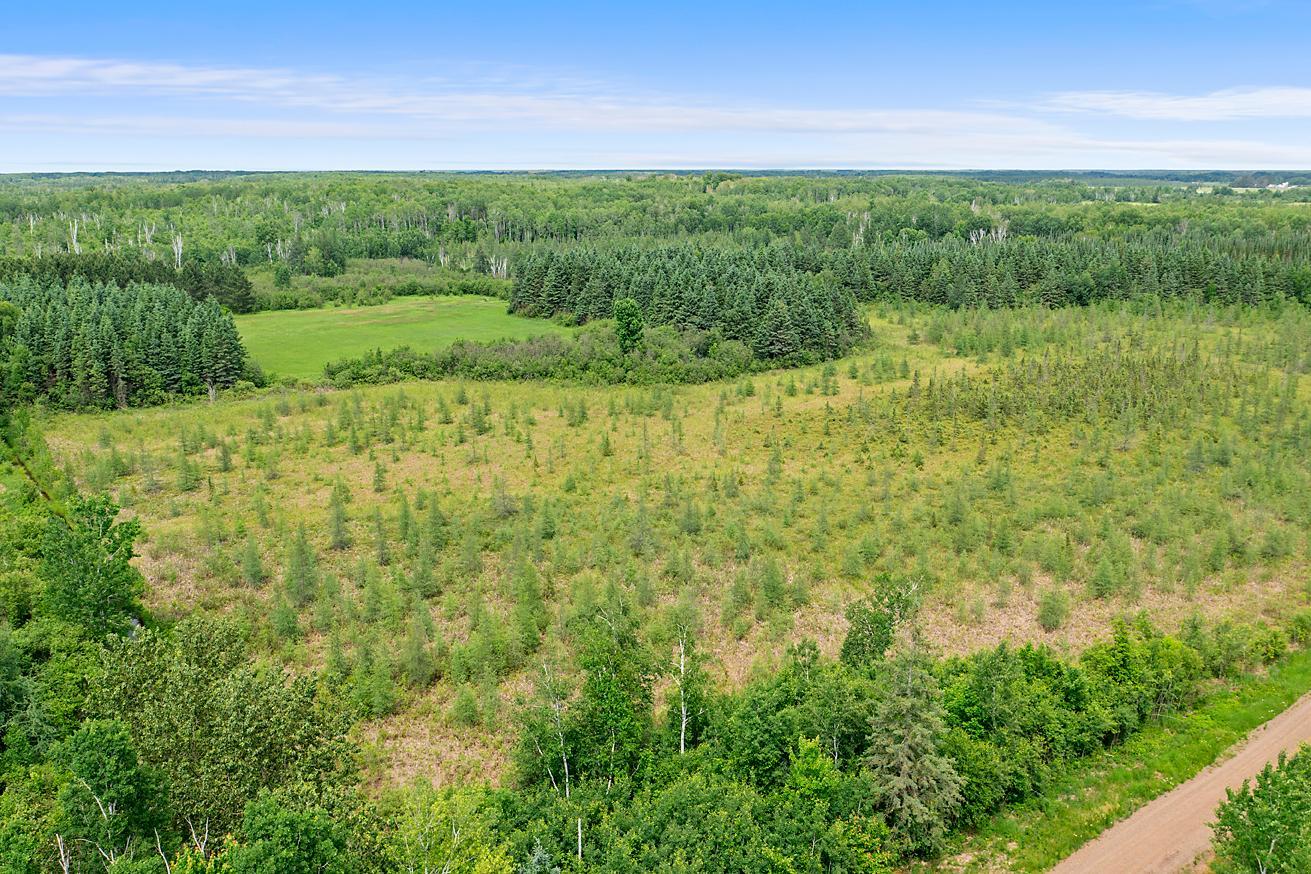 TBD 370th Lane, McGregor MN 55760 - Photo 14 of 21