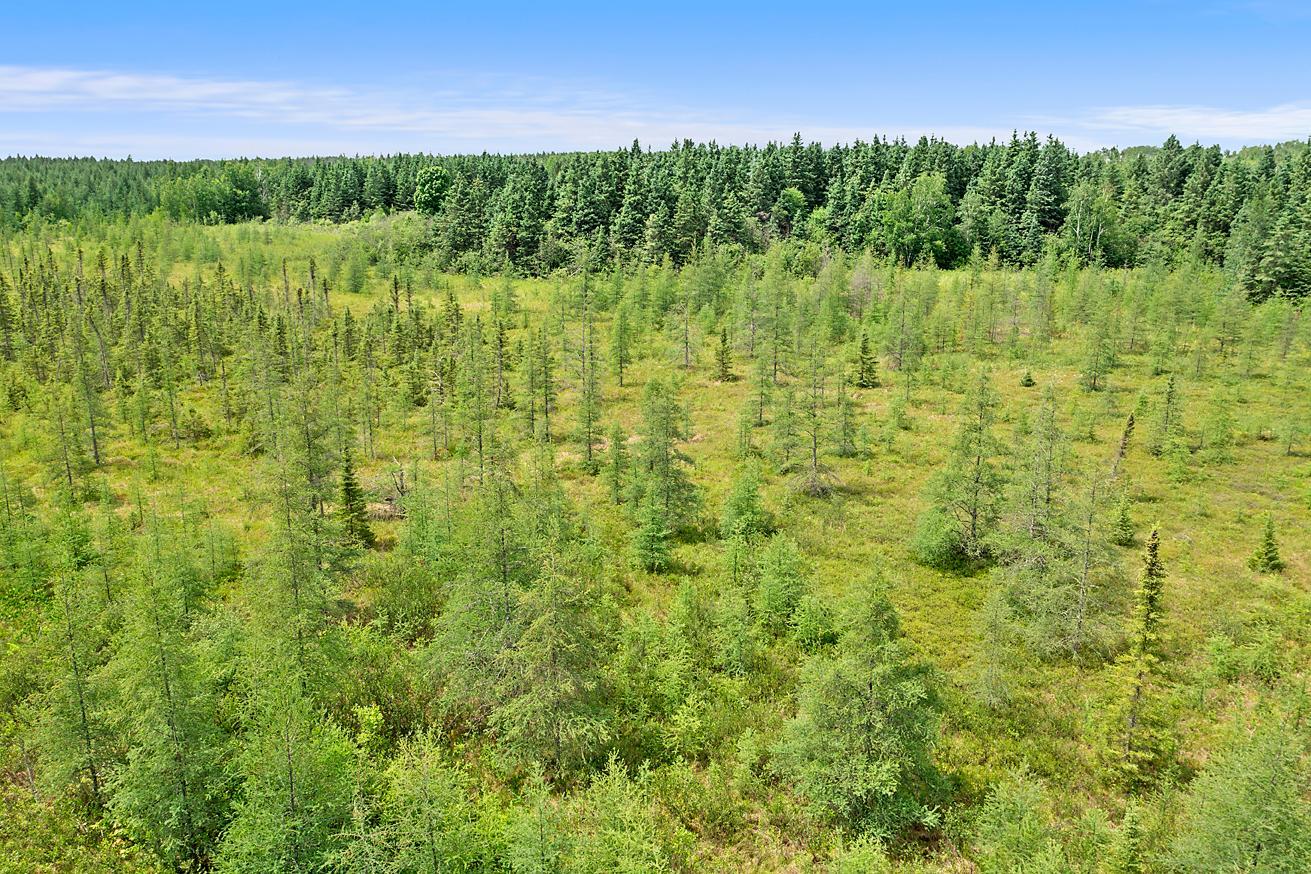 TBD 370th Lane, McGregor MN 55760 - Photo 4 of 21